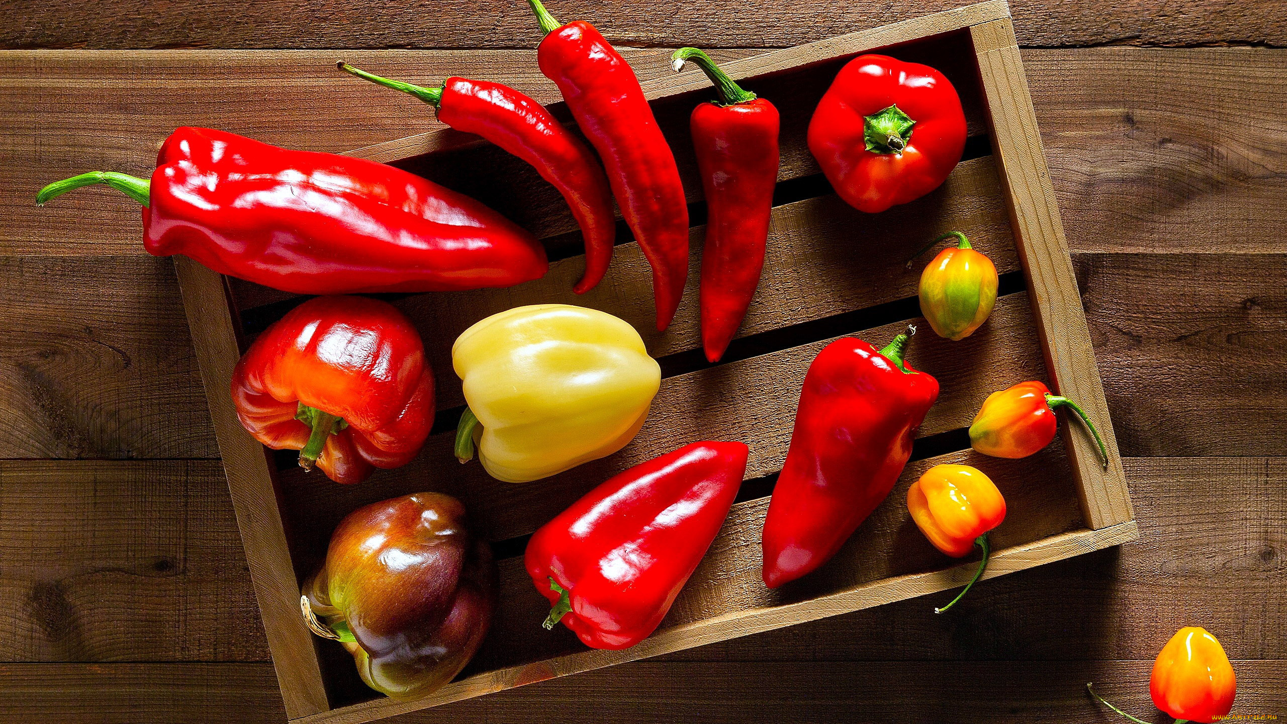 Food Vegetables Colorful Paprika 2560x1440