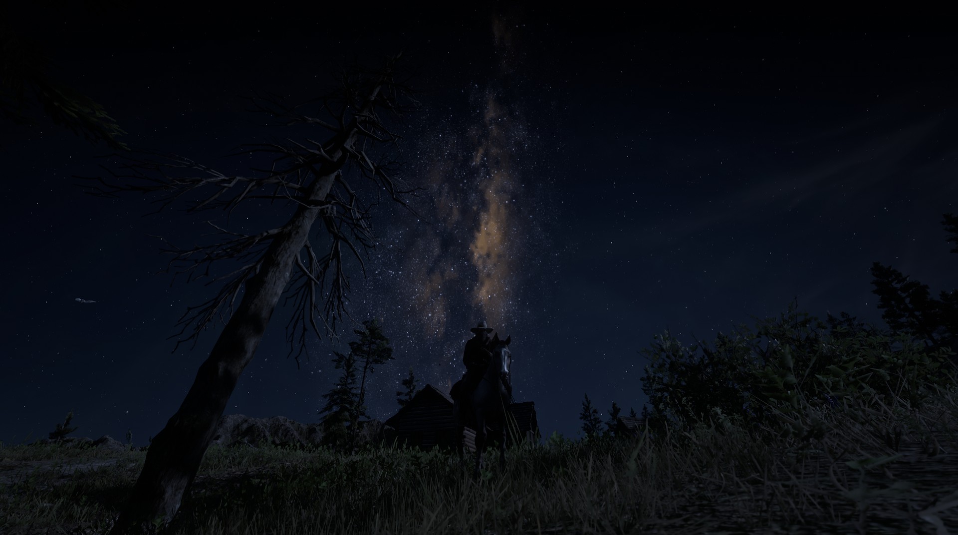 Red Dead Redemption Red Dead Redemption 2 Video Games Screen Shot Nature Stars Trees Horse Cowboys 1920x1072