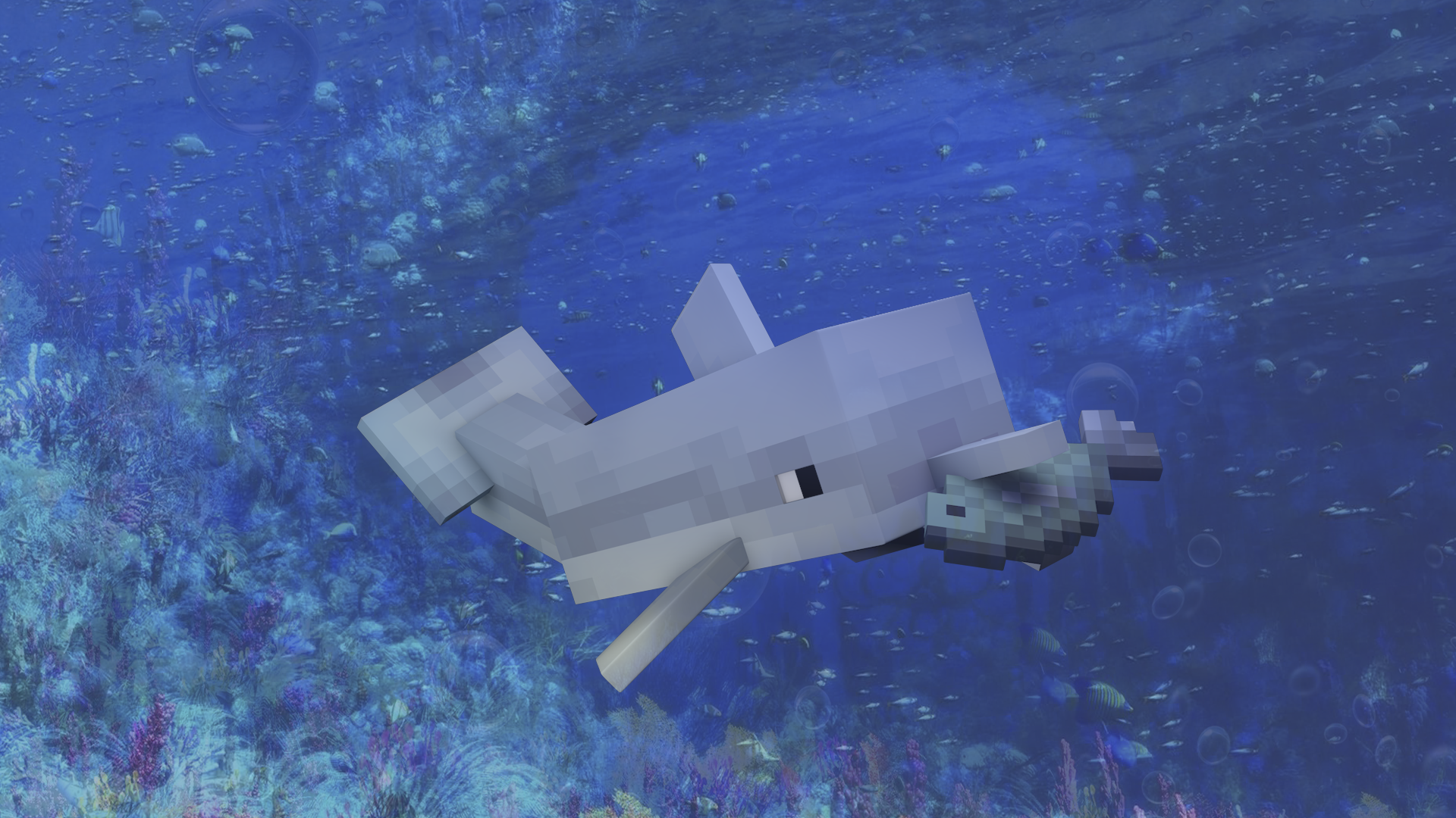 Dolphin Minecraft Water 1920x1080