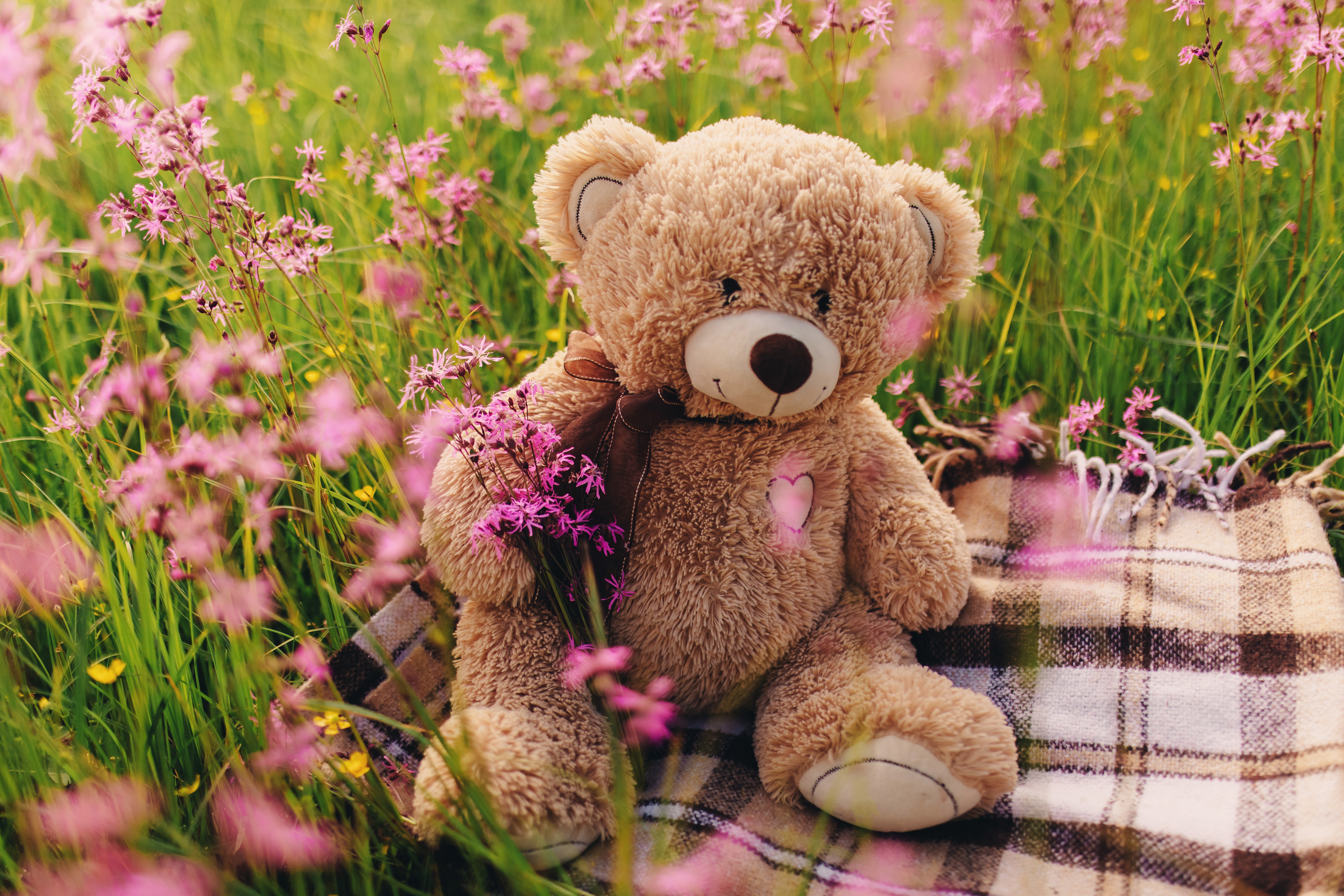 Flower Stuffed Animal Teddy Bear 5760x3840