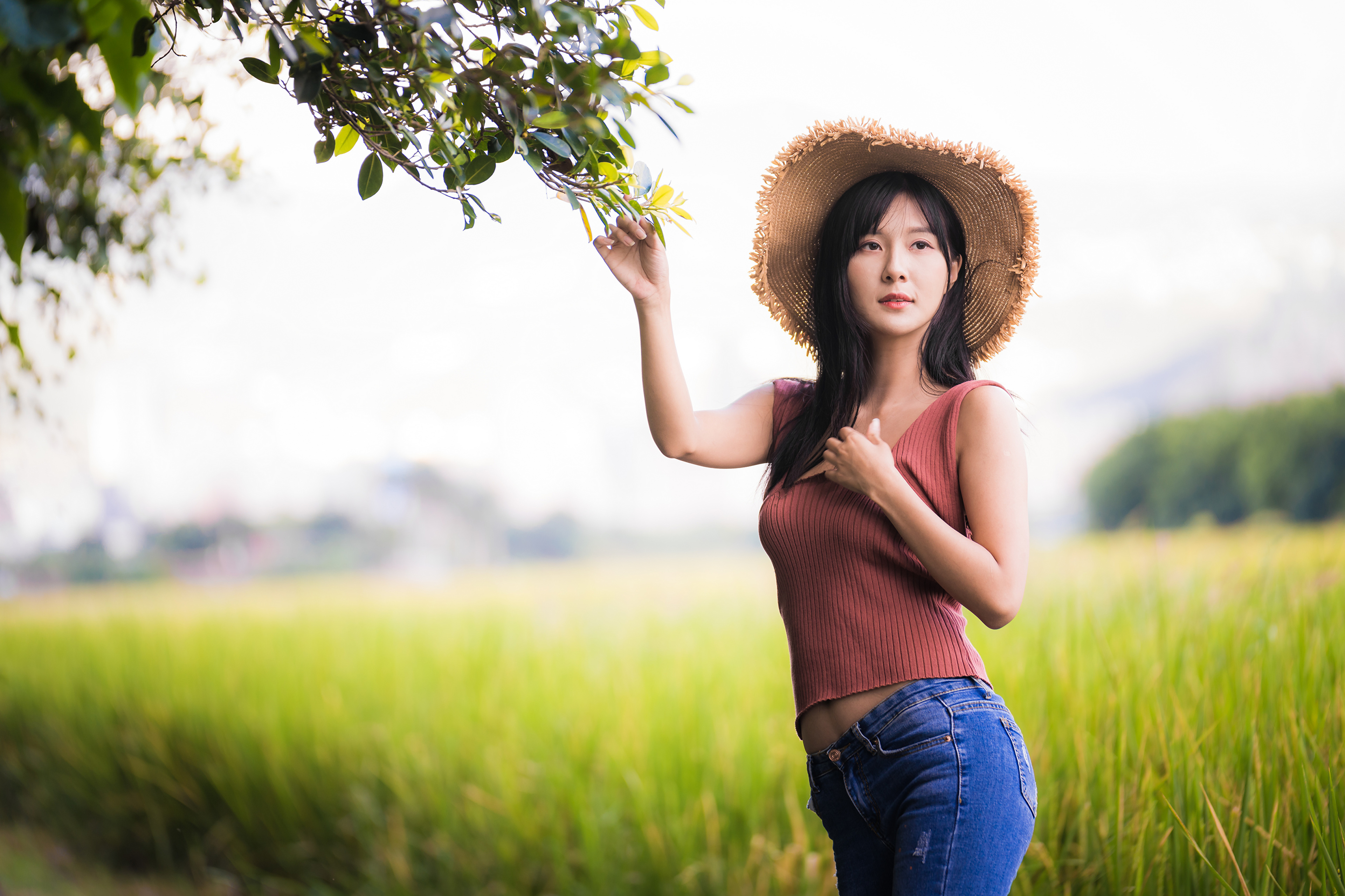 Asian Model Women Long Hair Brunette Straw Hat Shirt Jeans Field Trees Branch Leaves Depth Of Field  3840x2559