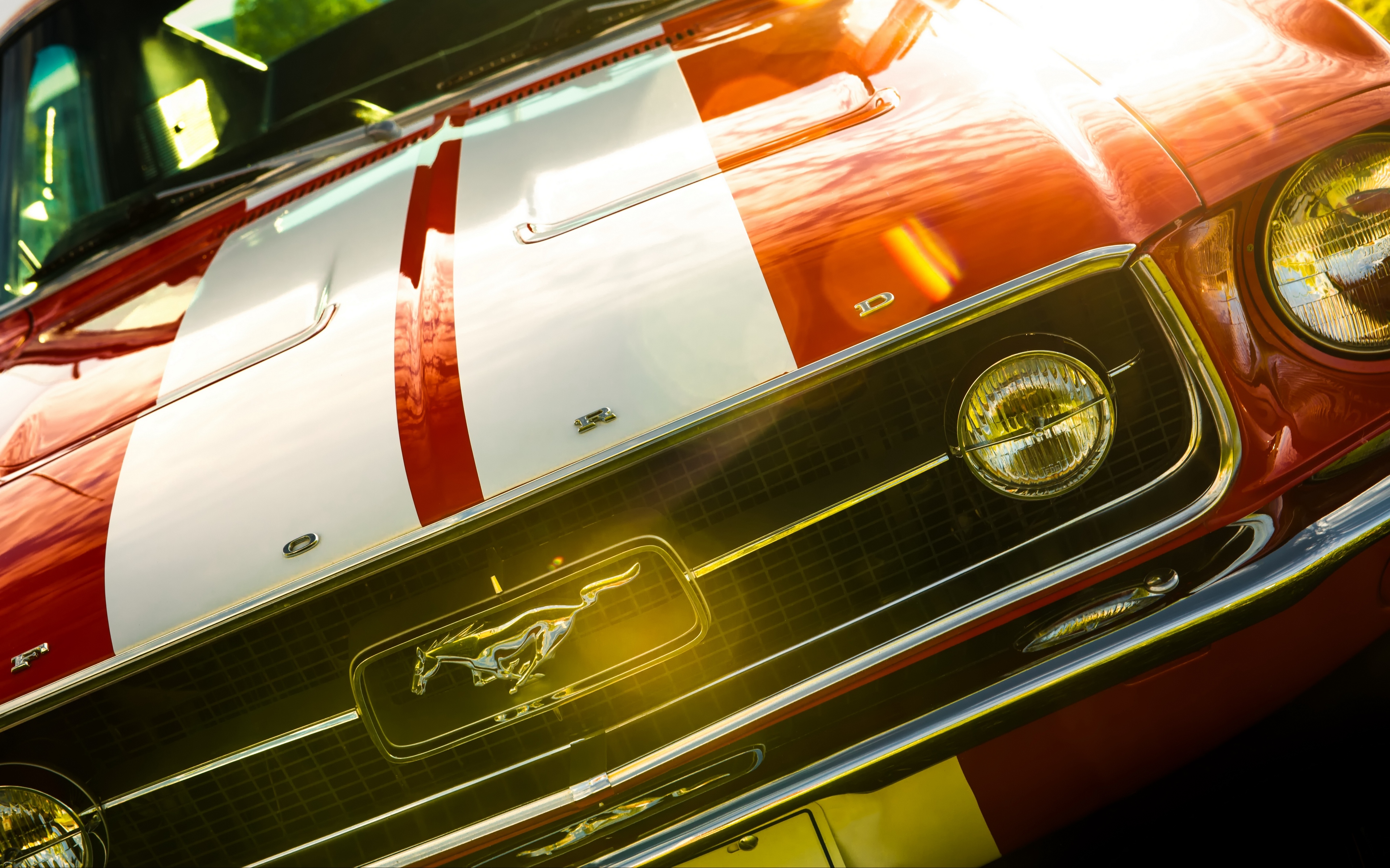 Vehicles Ford Mustang Fastback 3840x2400