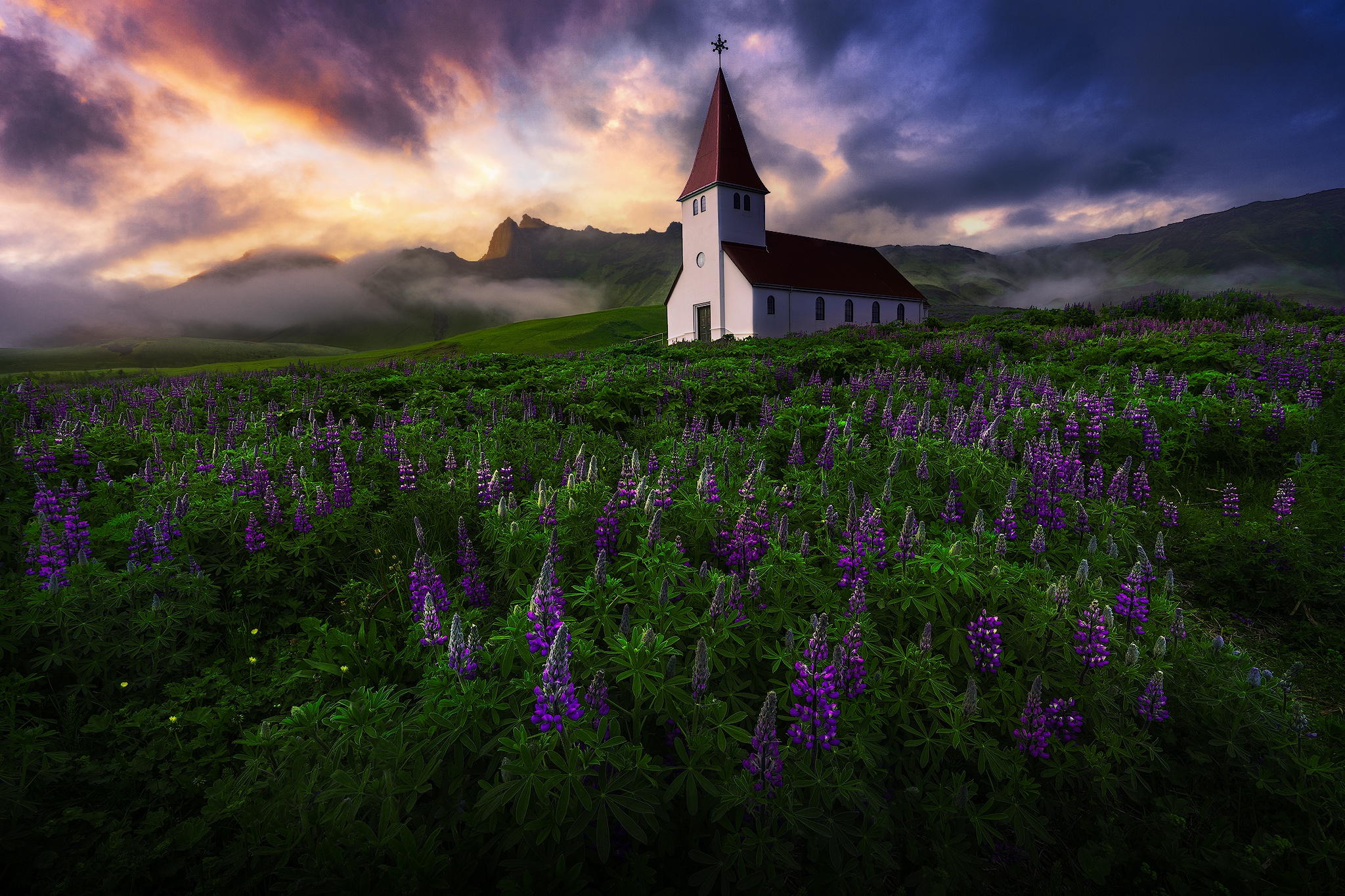 Building Church Iceland Nature Purple Flower 2048x1365