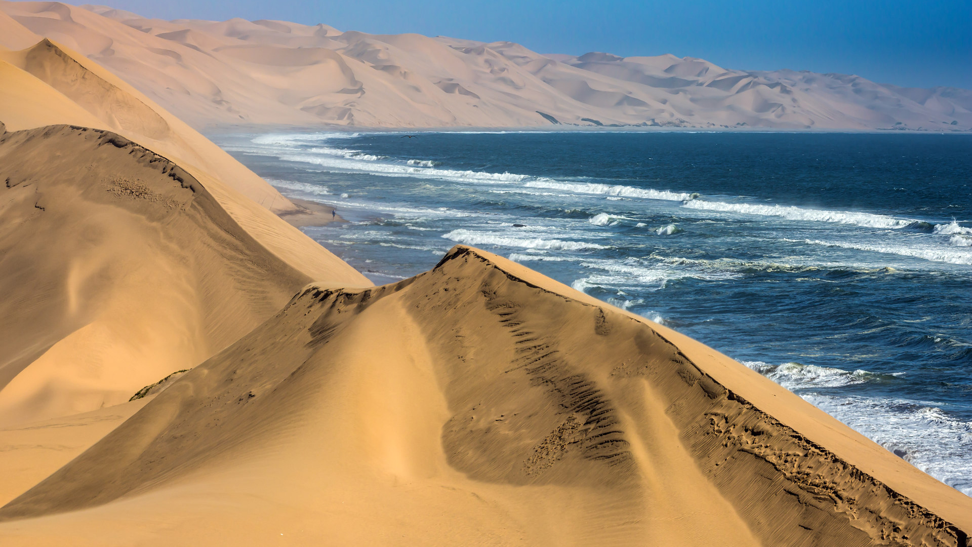 Desert Dune Landscape Namibia Ocean Sand 1920x1080