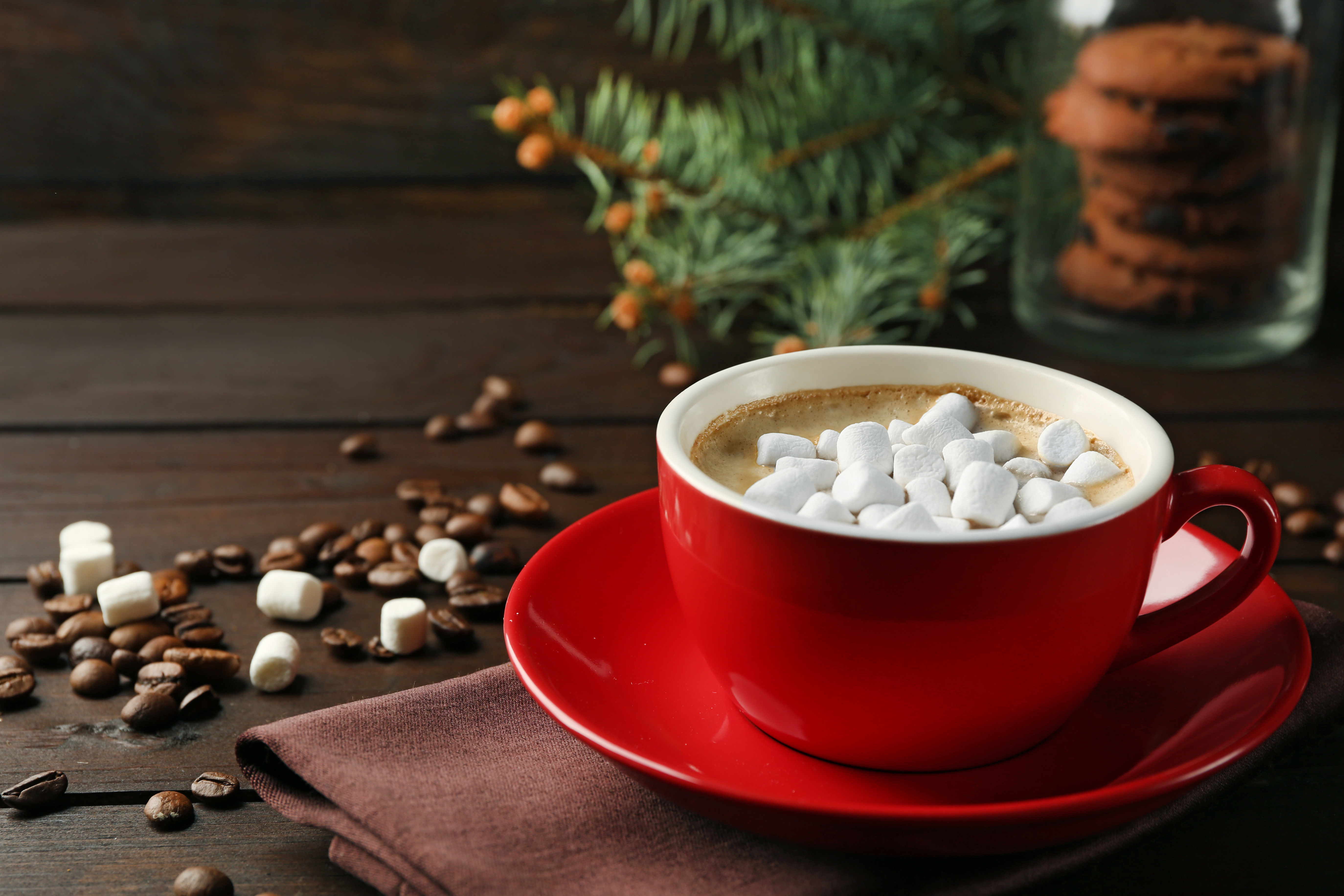Coffee Beans Cup Hot Chocolate Marshmallow 5495x3663