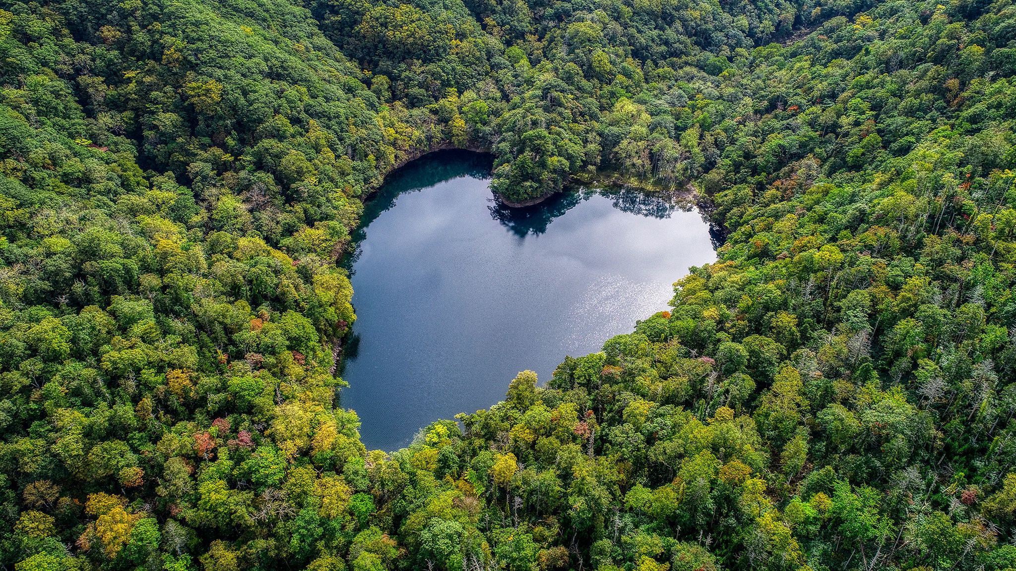Forest Heart Shaped Japan Nature Toyoni Lake 2048x1152