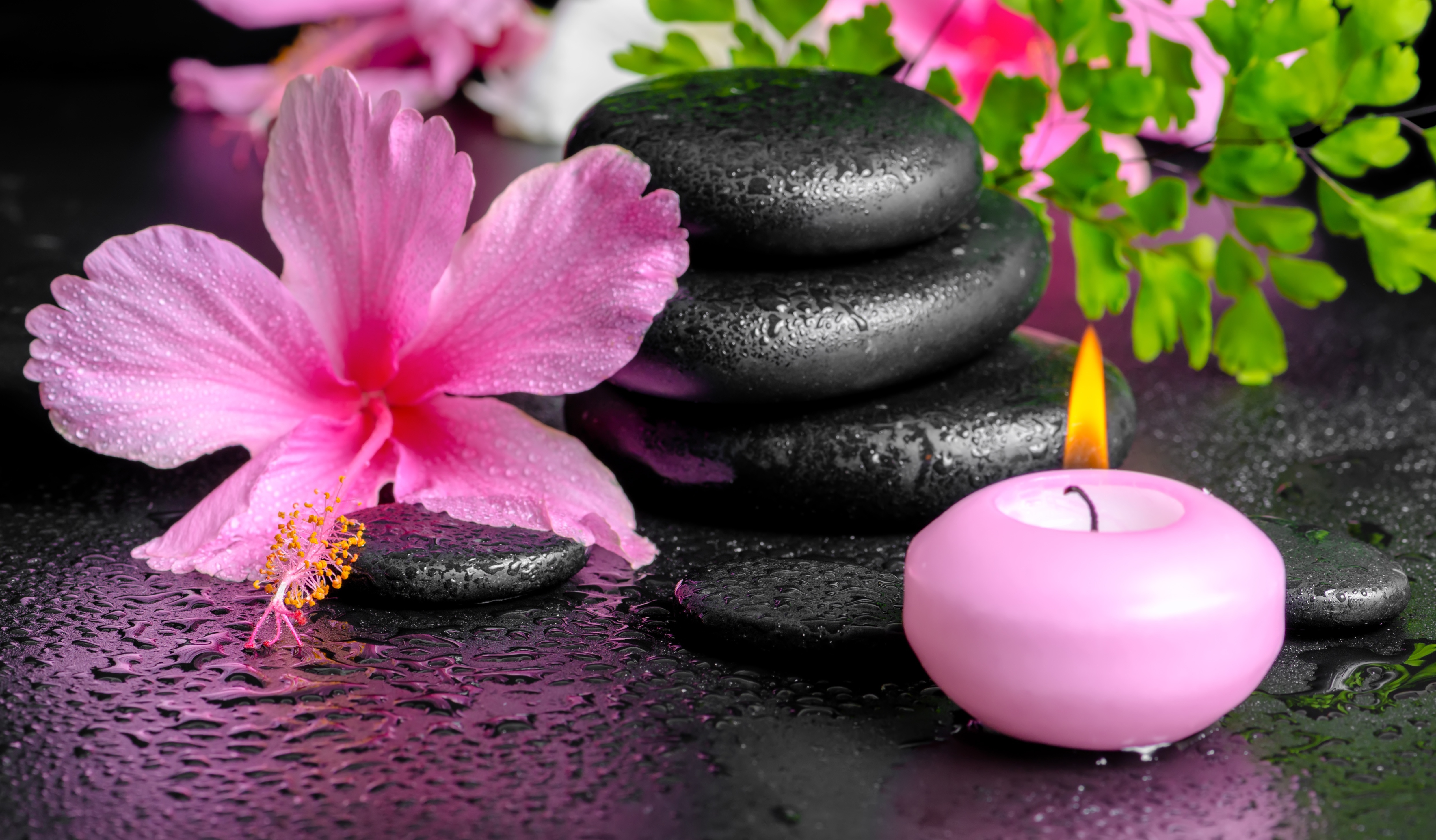 Candle Flower Hibiscus Spa Still Life Stone 4972x2909