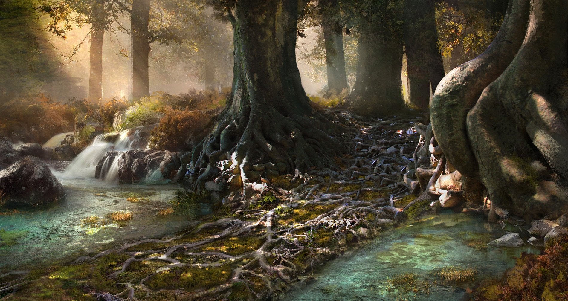 Forest Tree Trunk Trees Nature Artwork 1900x1007