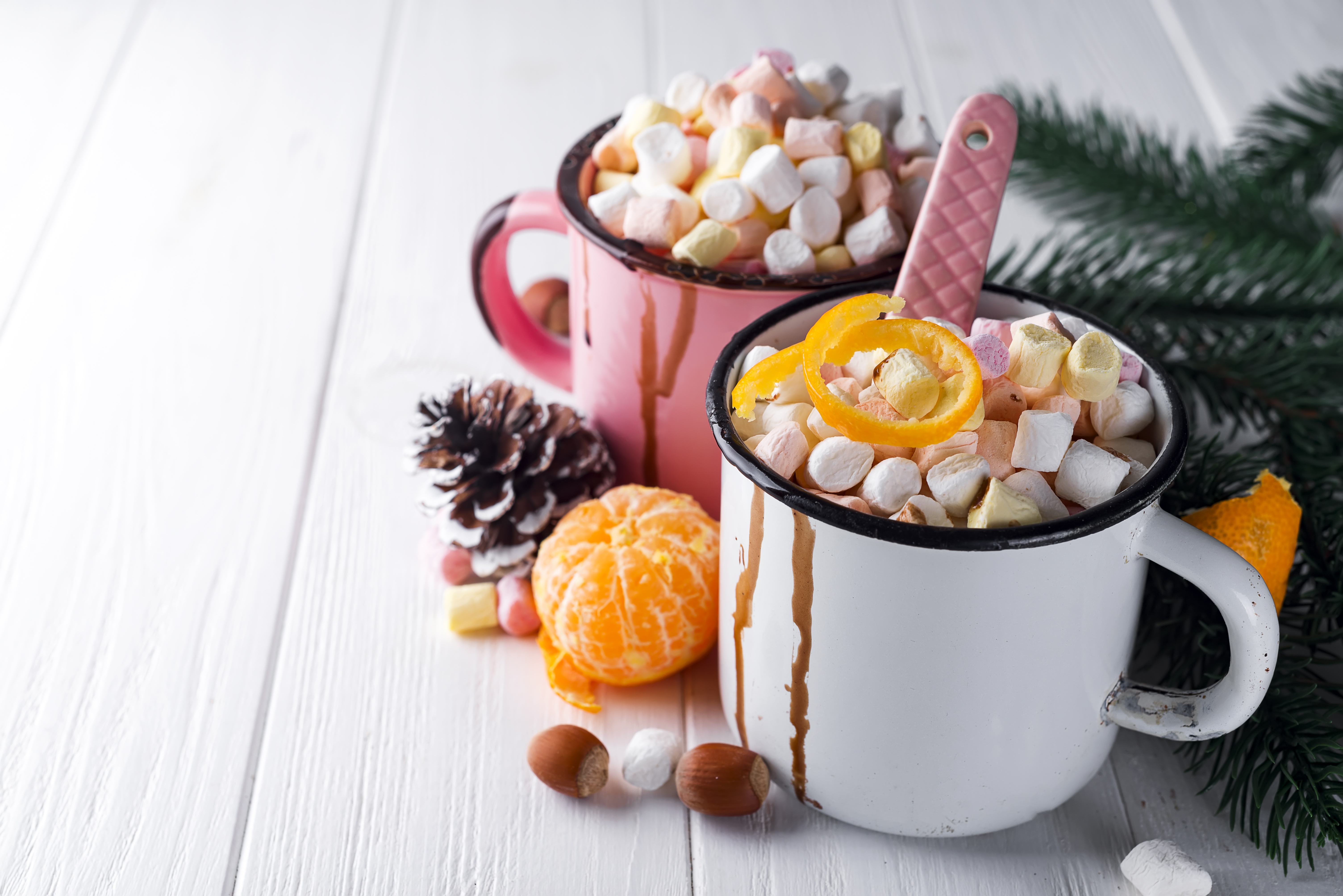 Cup Hot Chocolate Marshmallow Still Life 6016x4016
