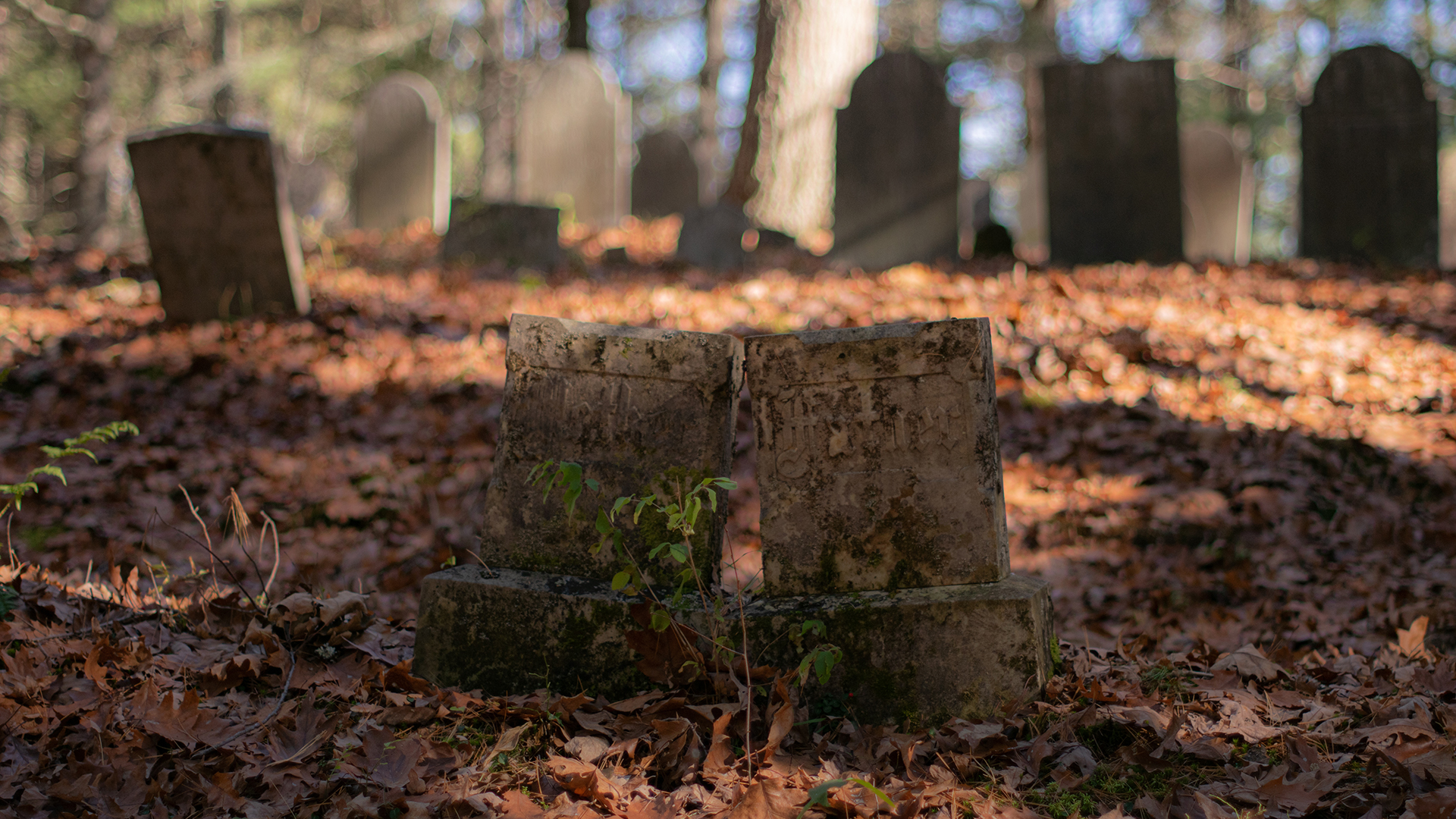 Graveyards Grave Tombstones Fall Fallen Leaves Bokeh 1920x1080