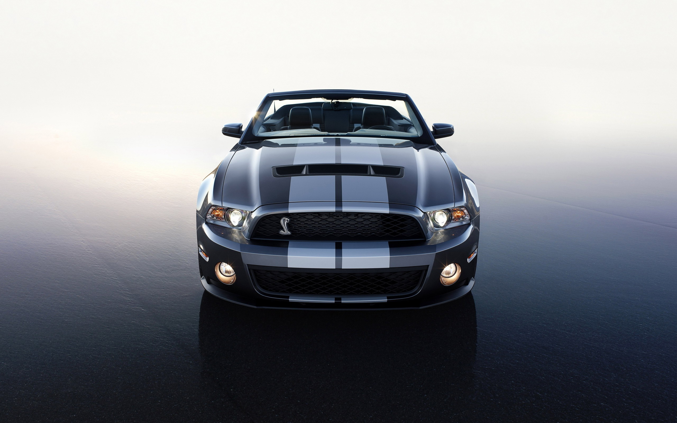 Vehicles Ford Mustang 2560x1600