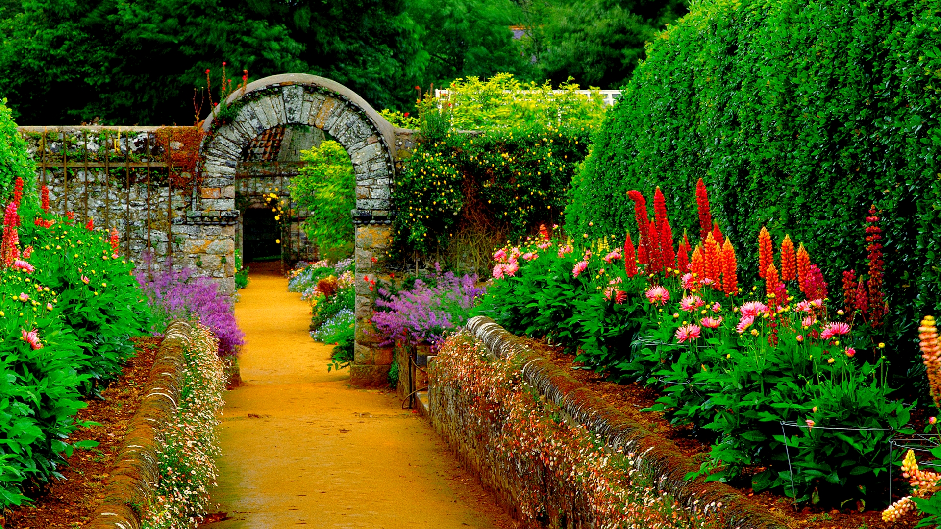 Flower Garden Path 1920x1080