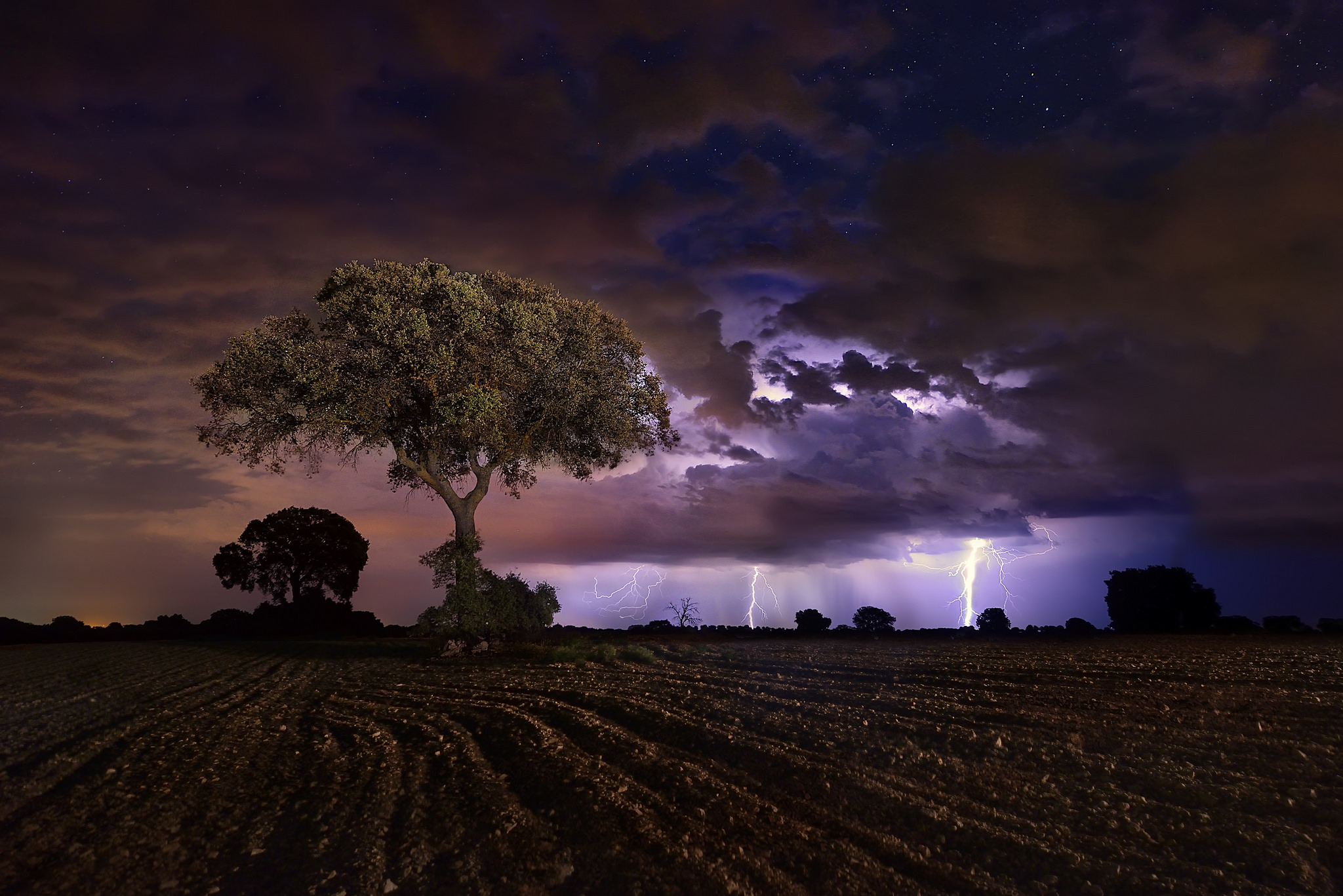Cloud Field Lightning Night Tree 2048x1367