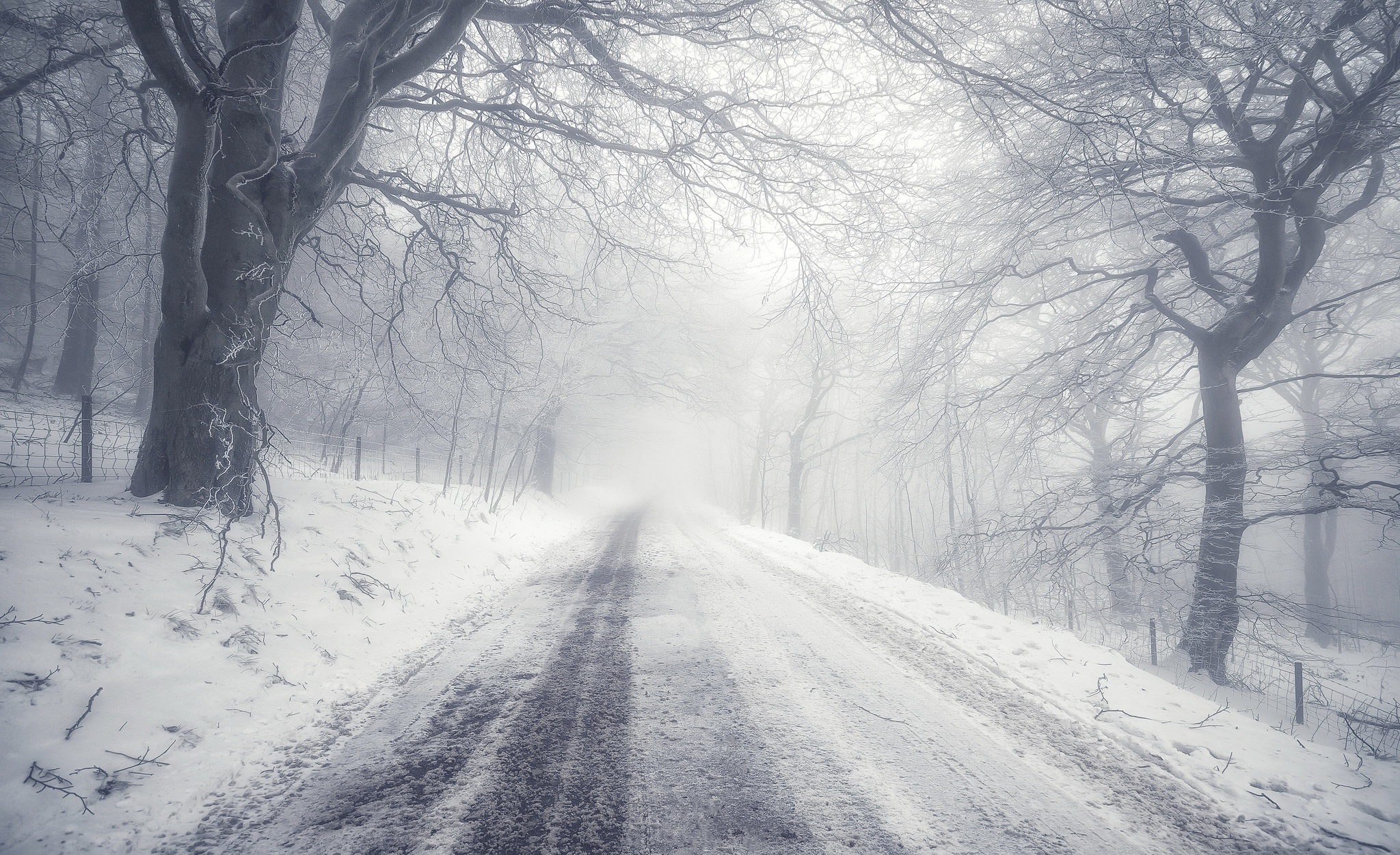 Fog Nature Road Snow Tree Winter 2048x1252