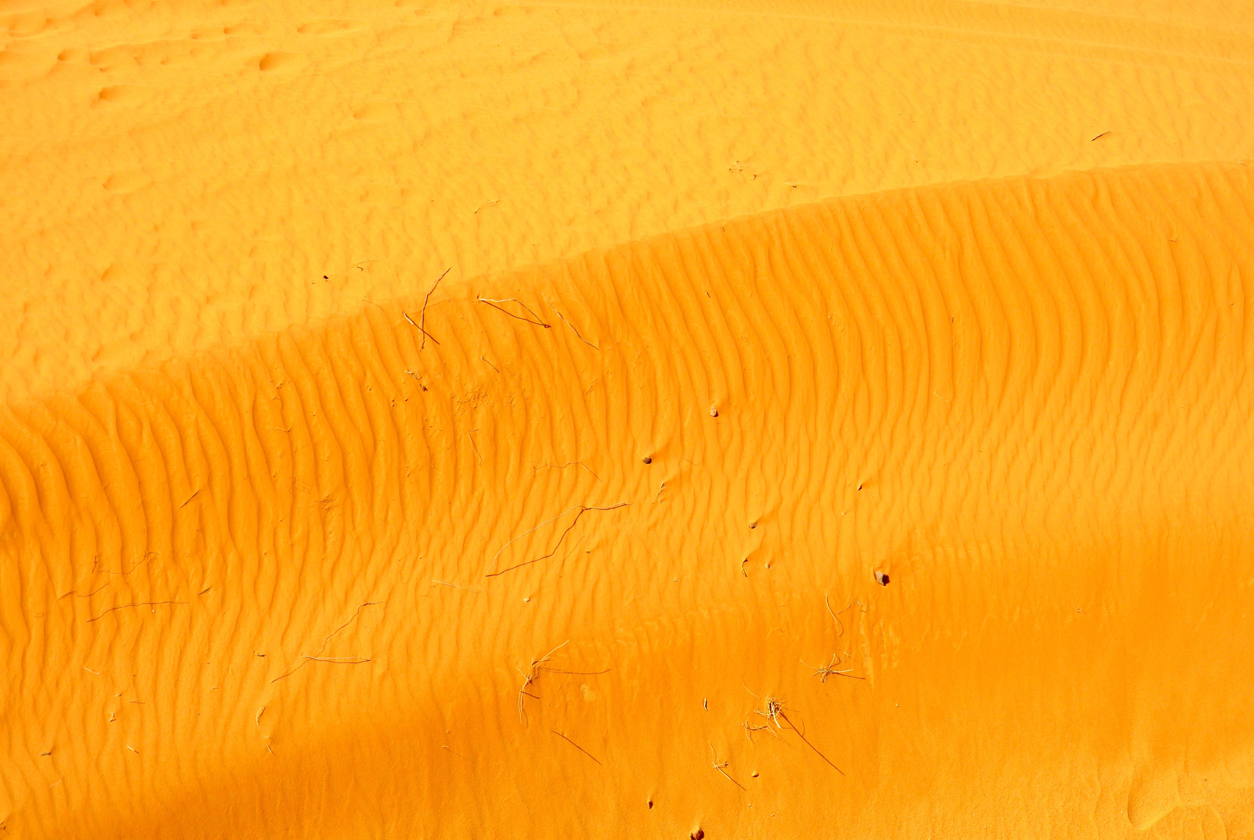 Desert Landscape Sand Nature 4054x2716