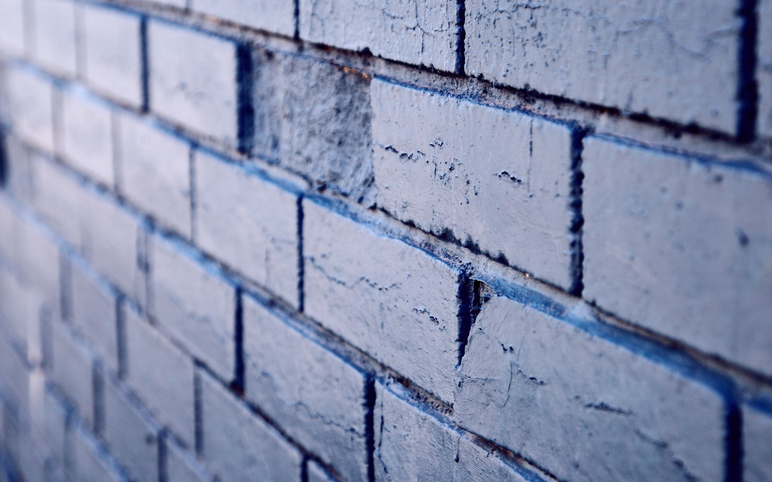 Brick Texture Wall 2560x1600
