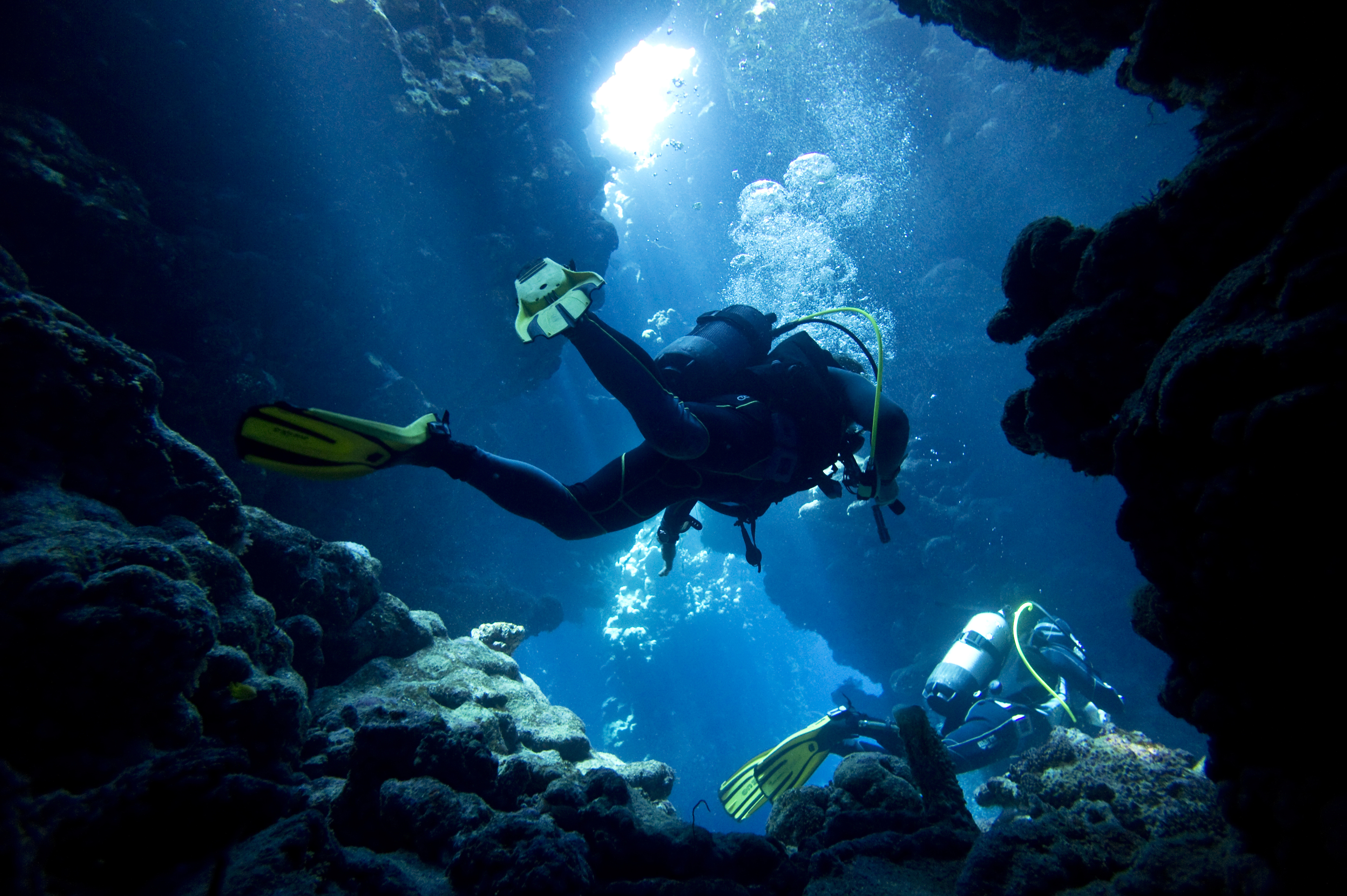 Coral Scuba Diver Underwater 3005x2000