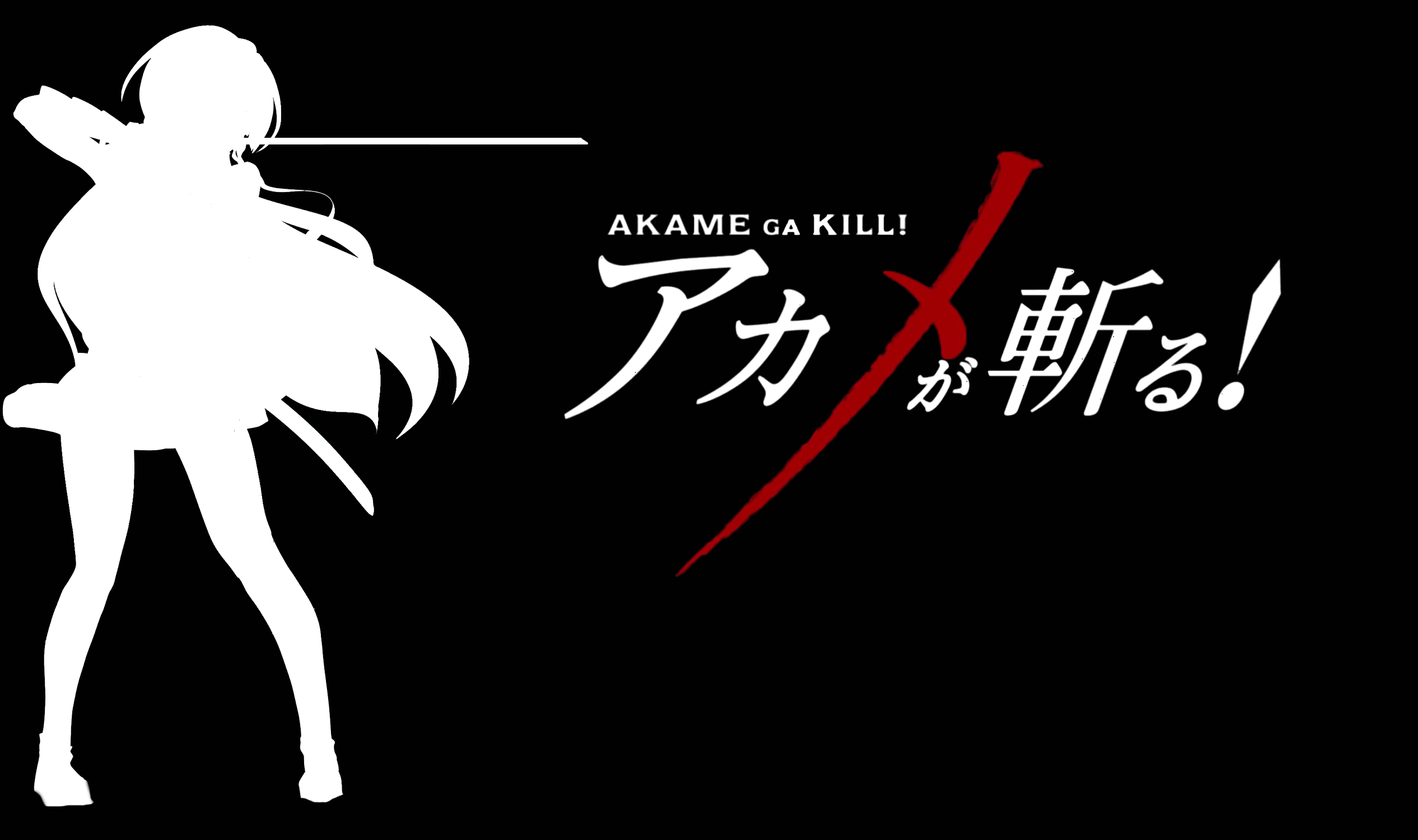 Anime Akame Ga Kill 2532x1500
