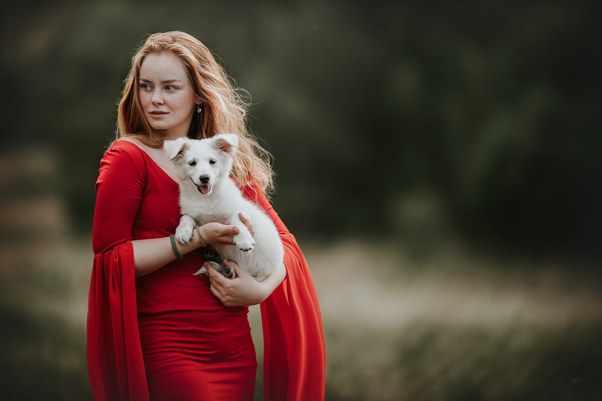 Baby Animal Dog Girl Model Puppy Red Dress Redhead Woman 2000x1333