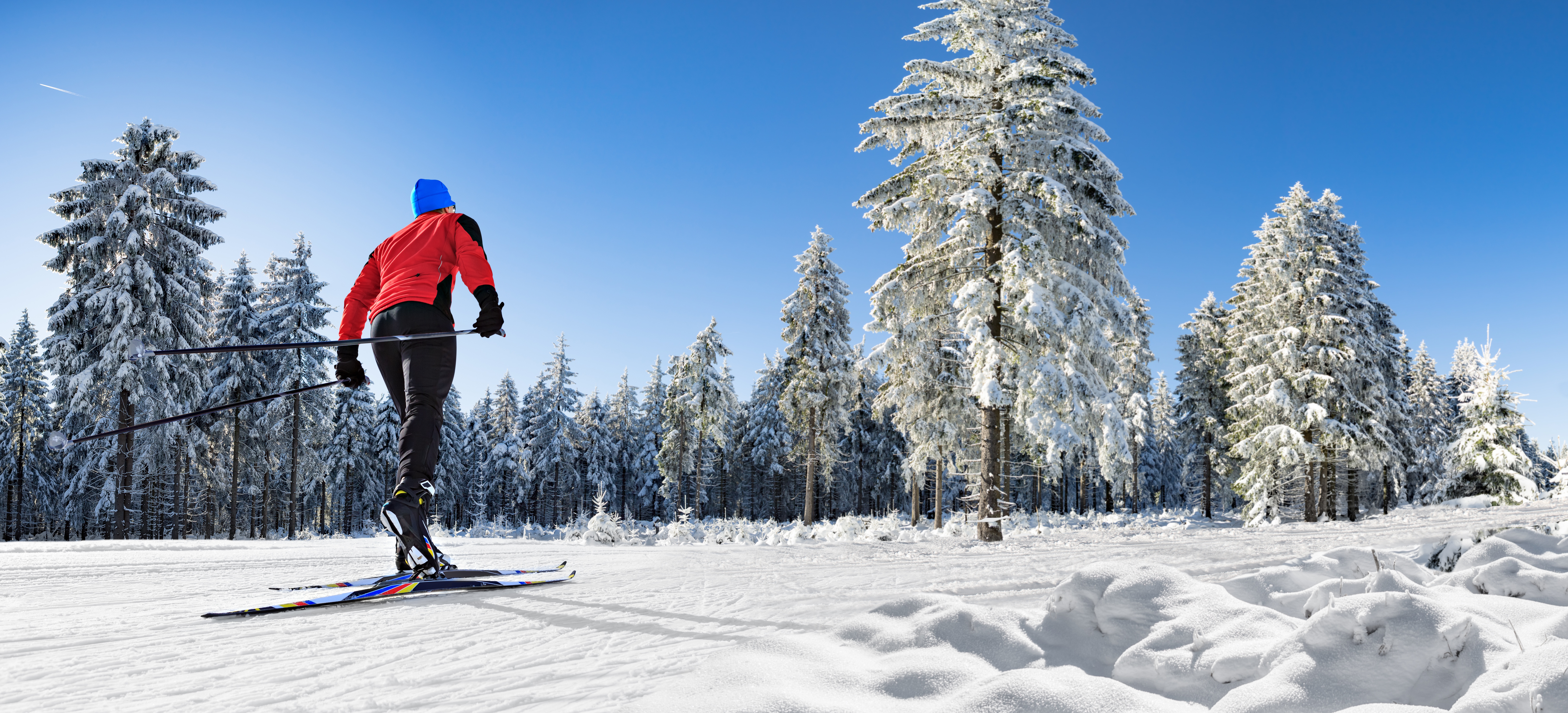 Skiing Snow Tree Winter 8446x3840