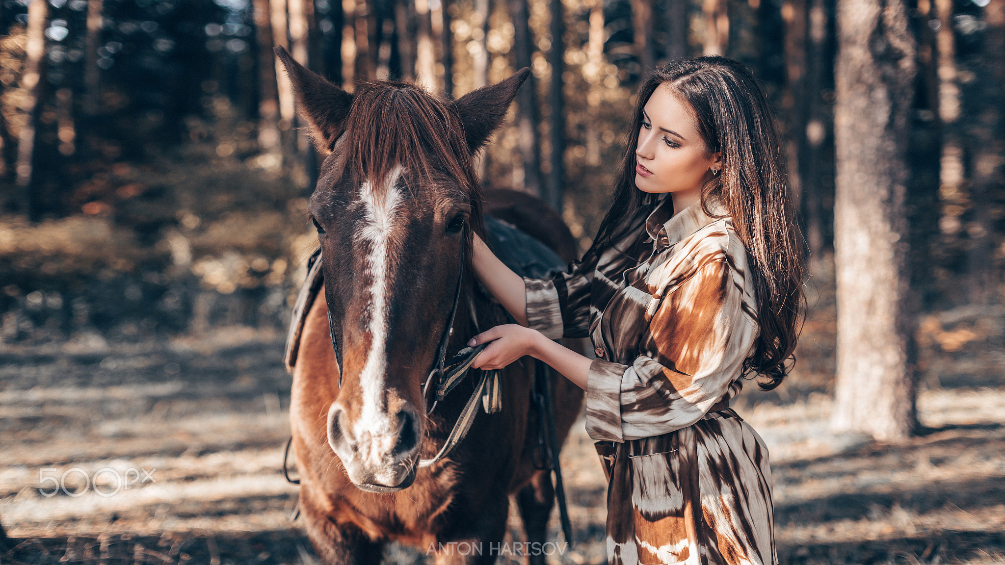 Anton Harisov Women Brunette Long Hair Makeup Eyeshadow Dress Animals Horse Forest Trees Nature 2048x1152