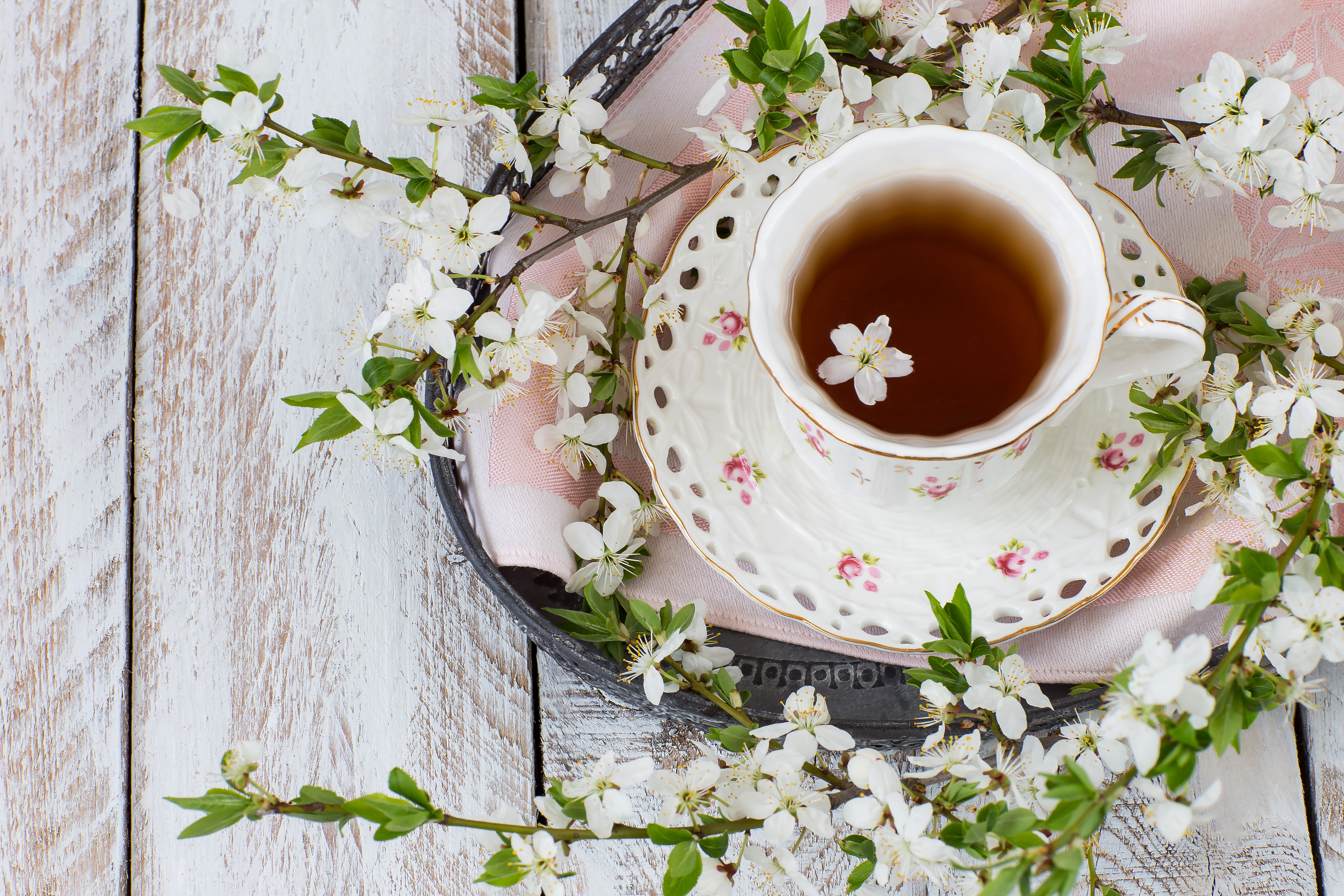 Cup Drink Flower Tea 5472x3648