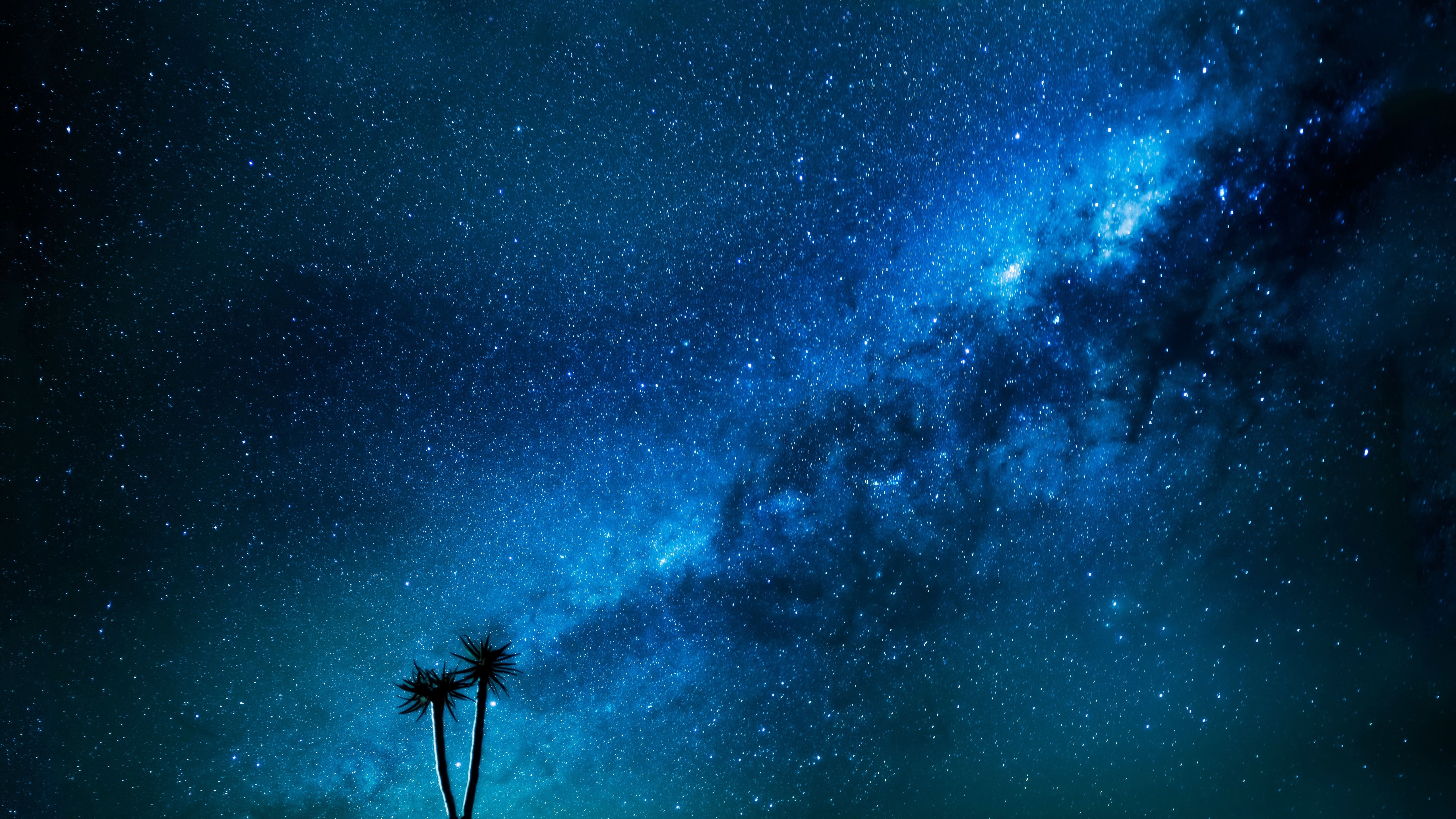 Galaxy Stars Milky Way Palm Trees Andromeda Space Nebula 5120x2880