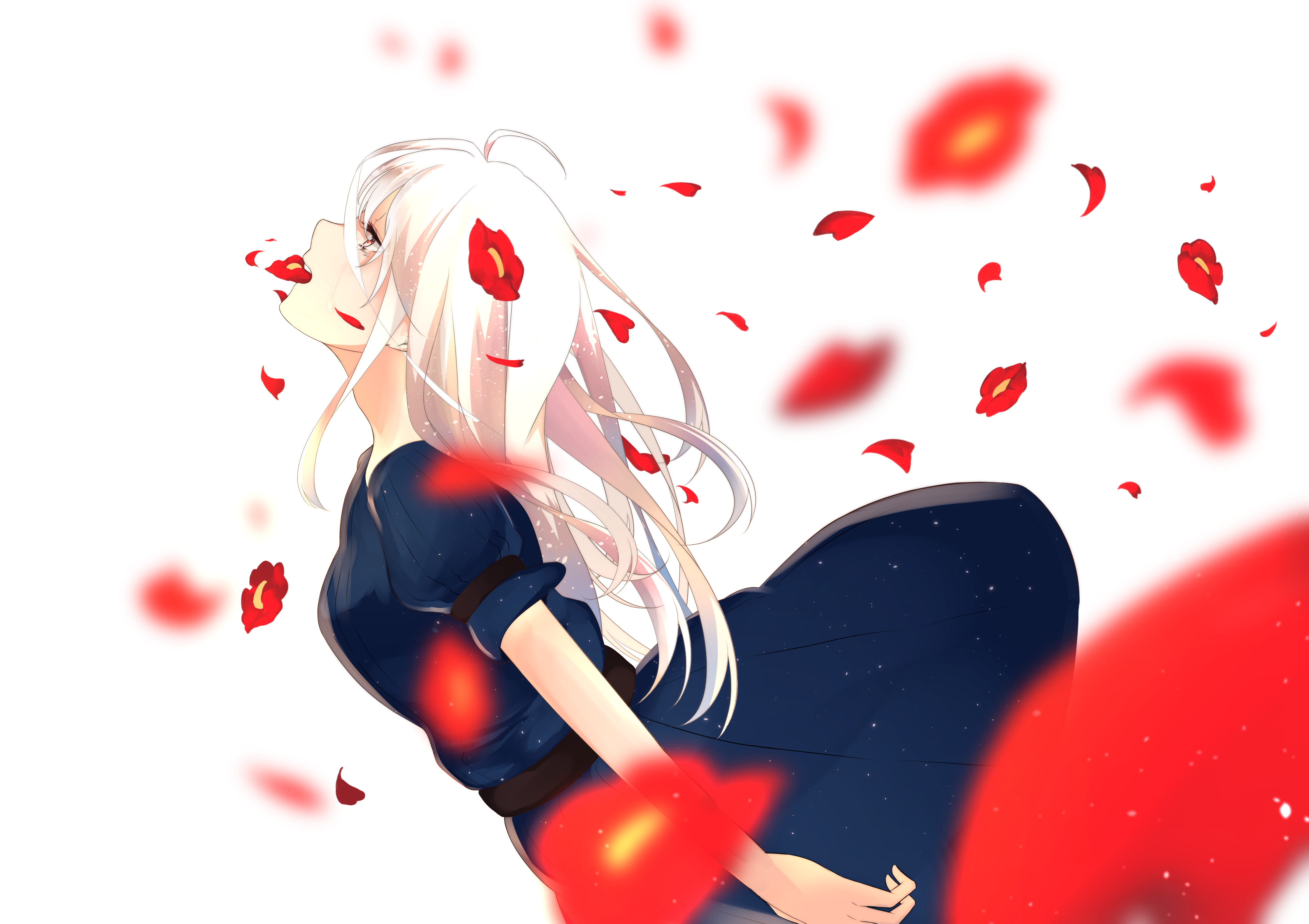 Anime Anime Girls White Background White Hair Long Hair Flowers Petals Falling Red Eyes Red Flowers 4299x3035