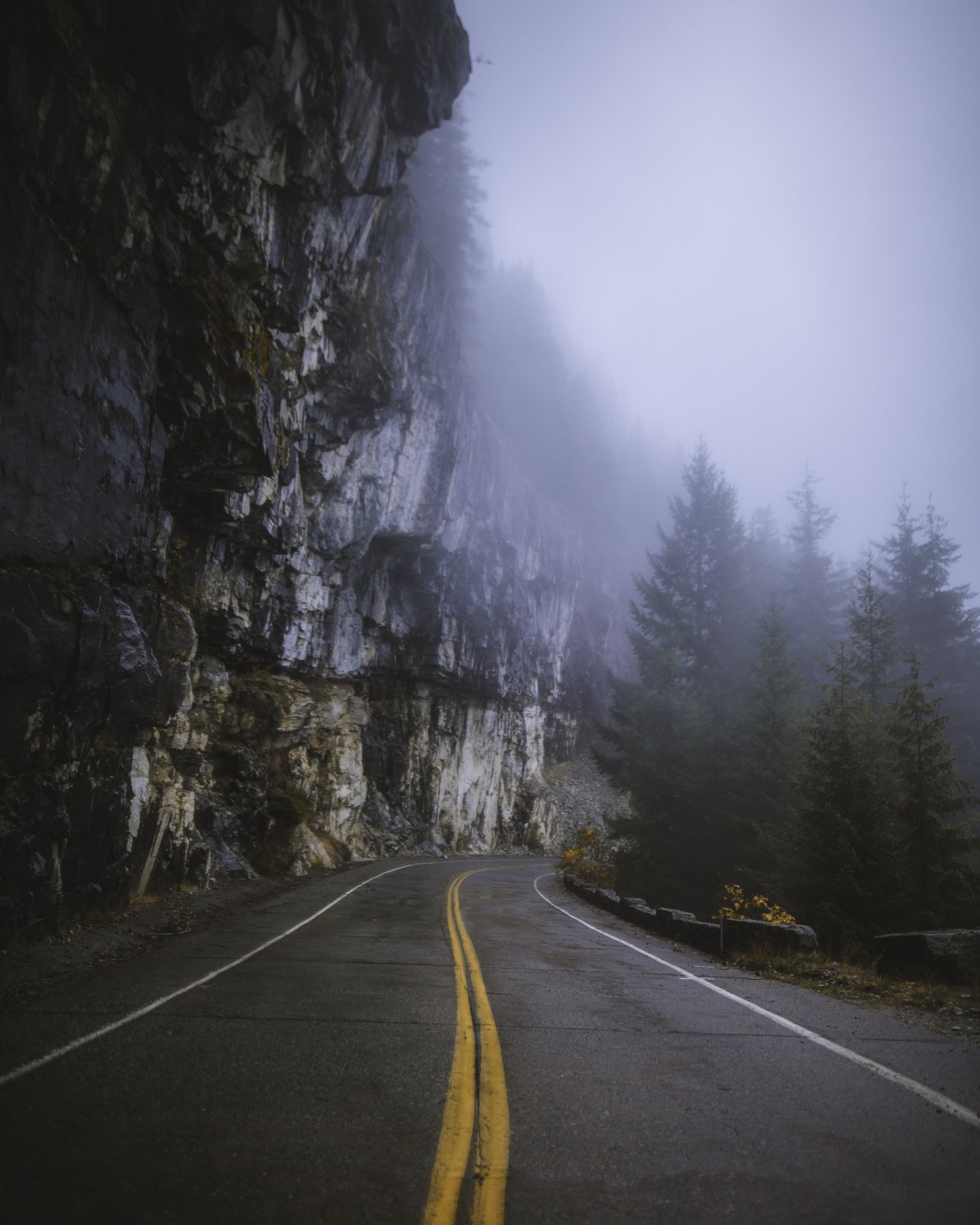 Landscape Road Mist Pine Trees Portrait Display Rocks Wall 1638x2048