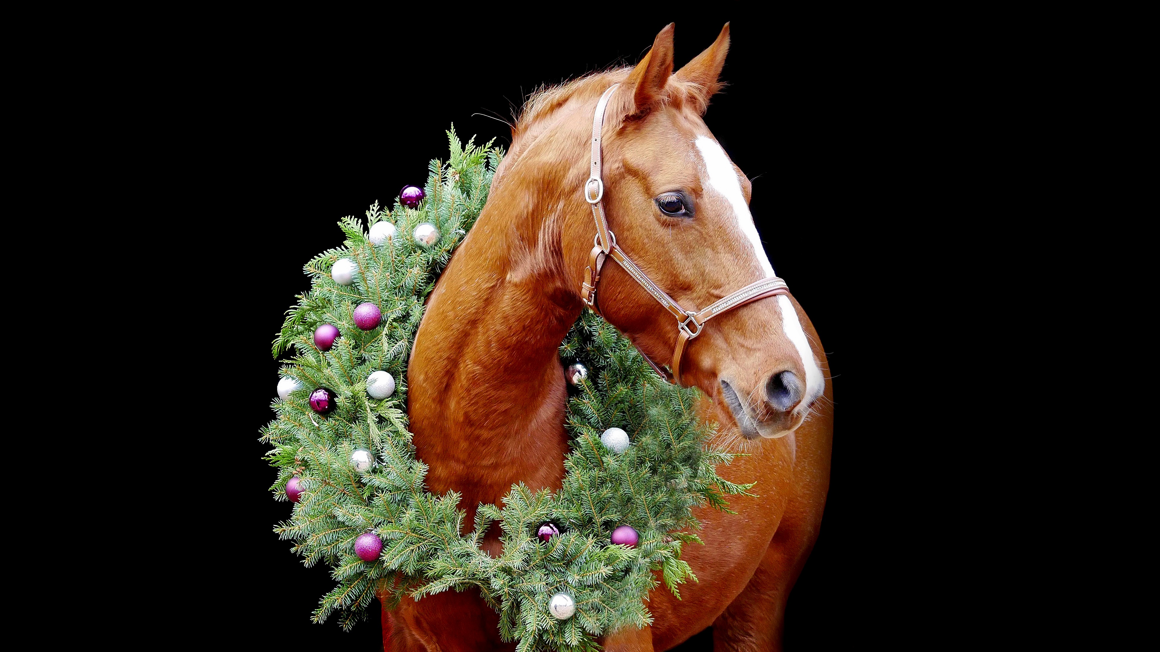 Christmas Ornaments Horse 3840x2160
