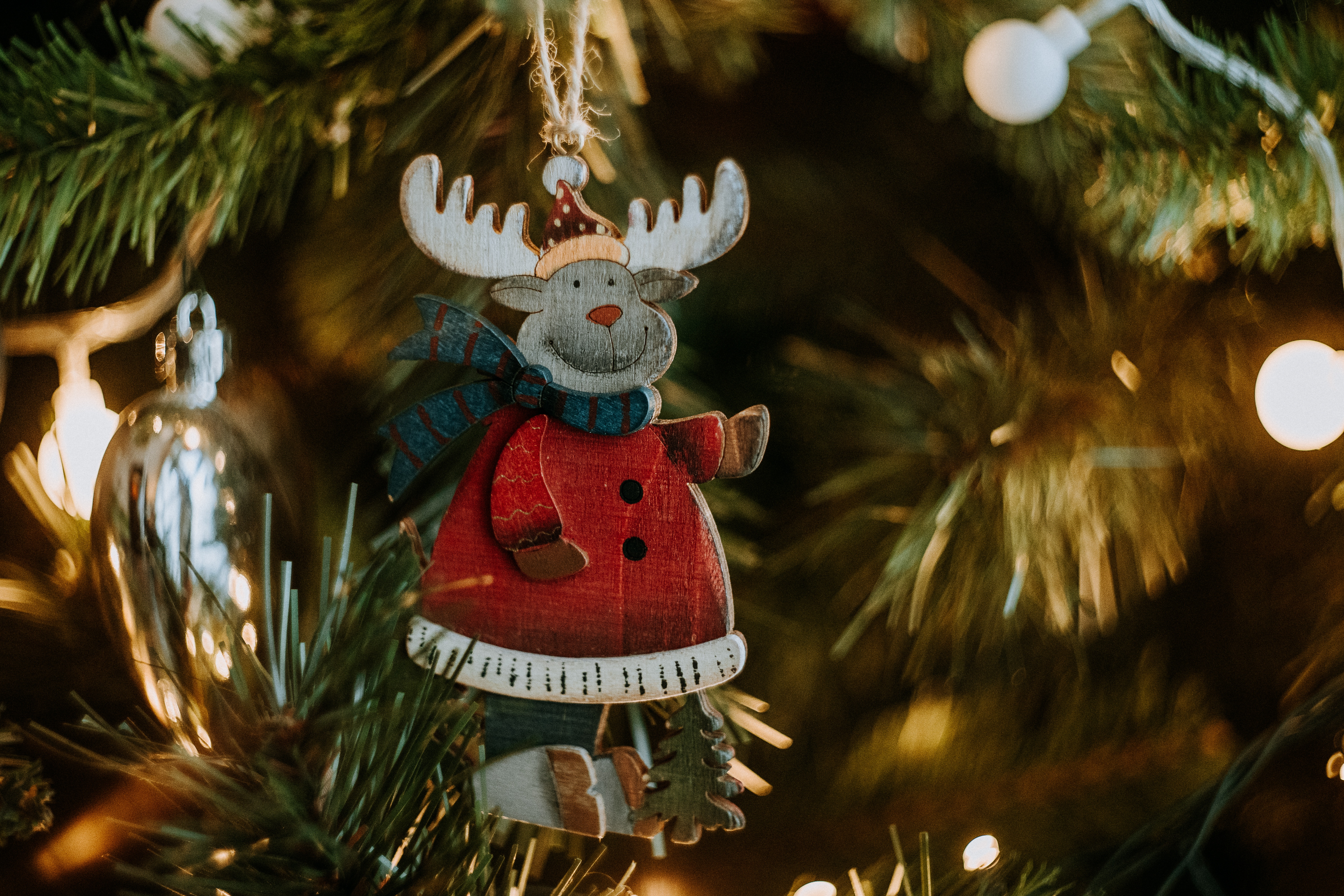 Christmas Christmas Tree Decorations Deer Light Effects 6000x4000
