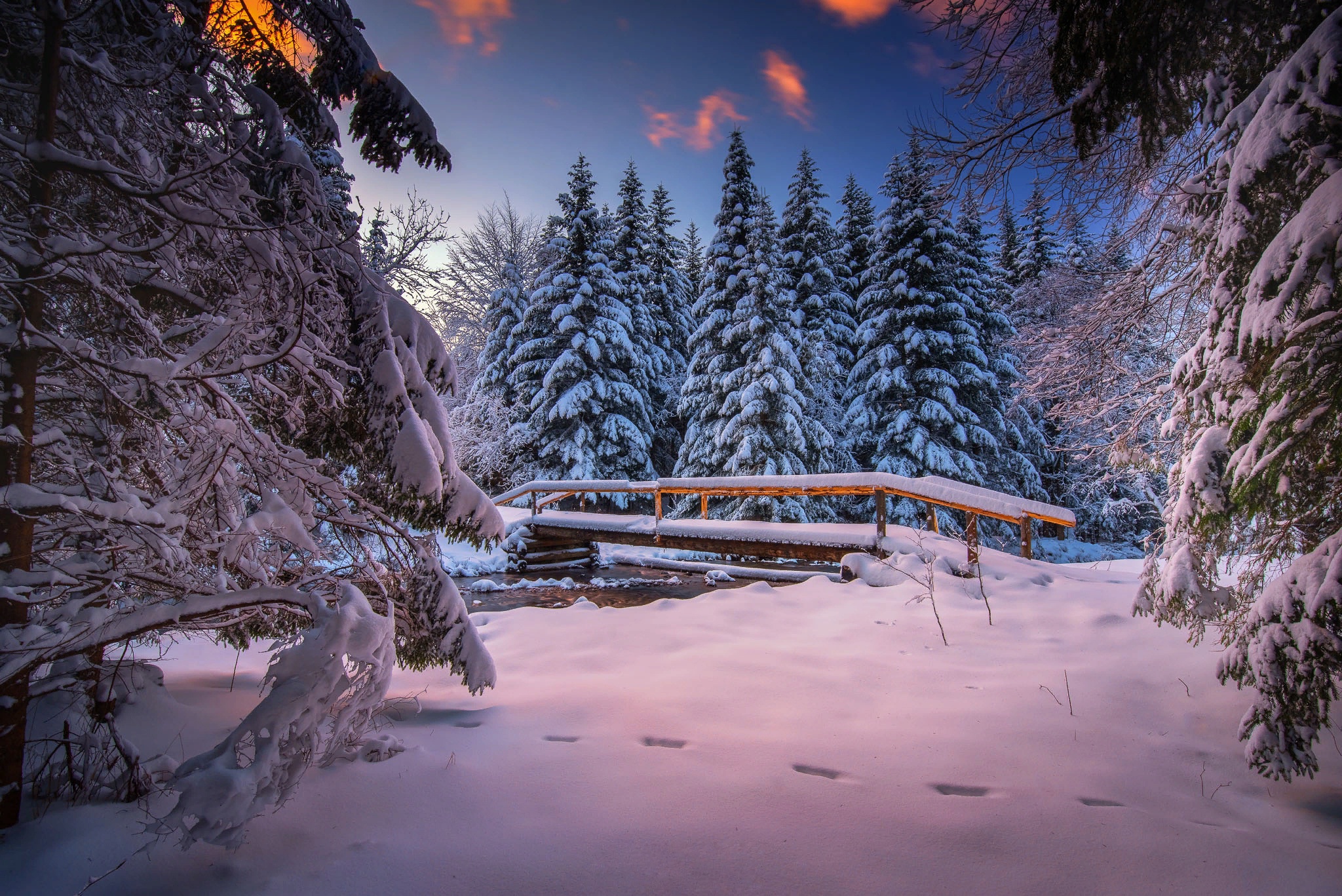Bridge Fir Tree Snow Winter 2048x1367