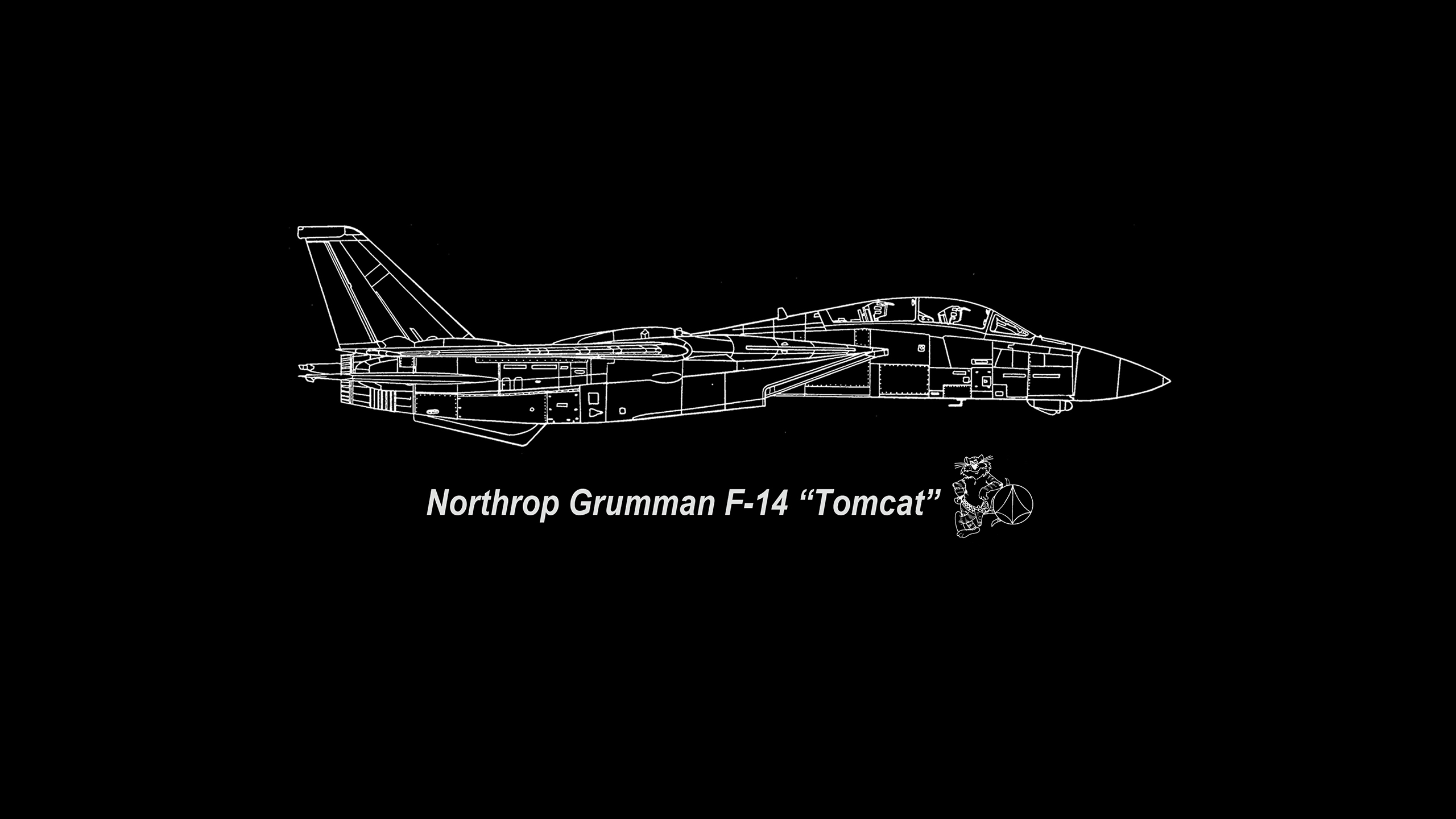 Grumman F 14 Tomcat F 14 Tomcat Jet Fighter United States Navy Airplane 2560x1440