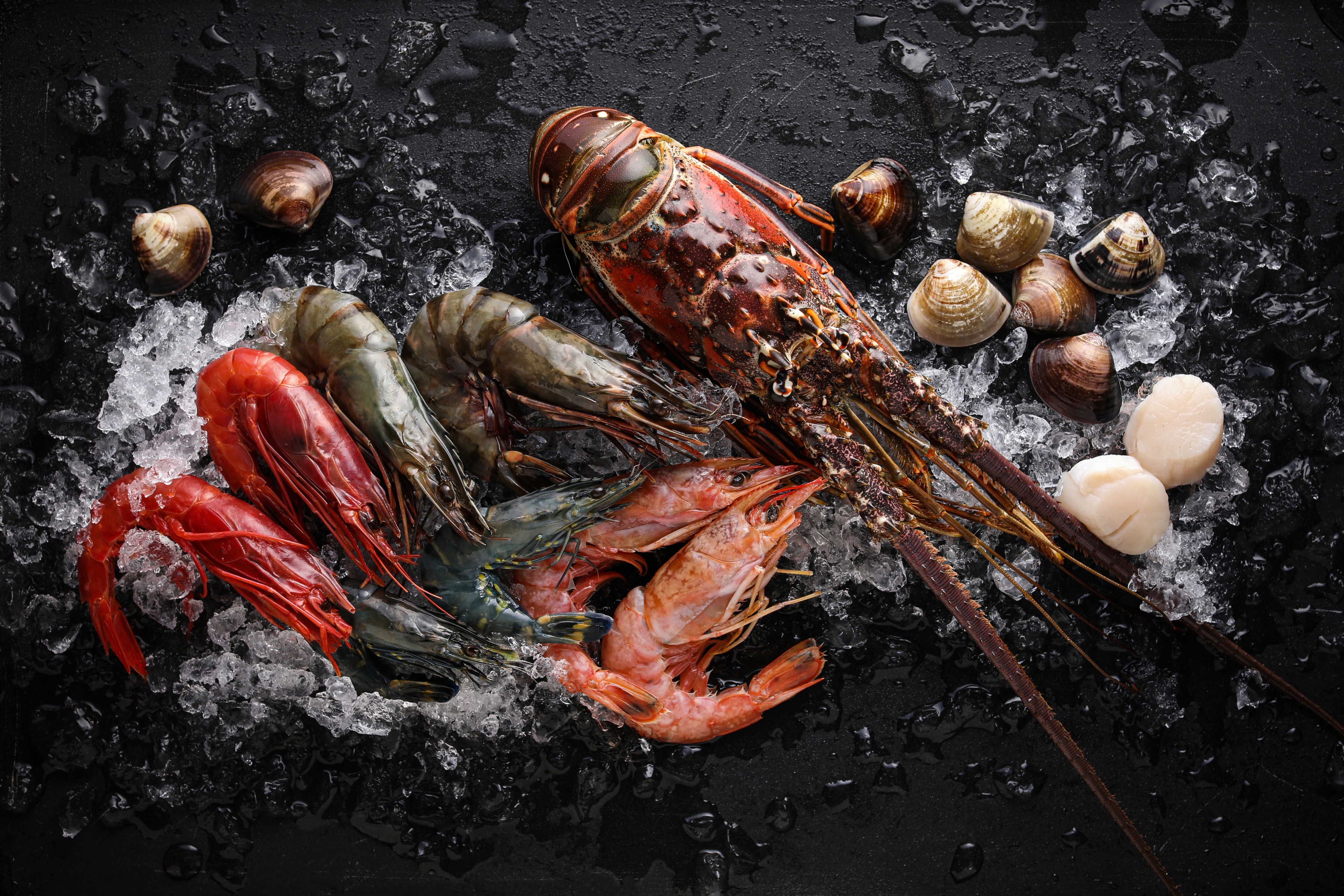 Lobster Scallop Shrimp 3600x2401