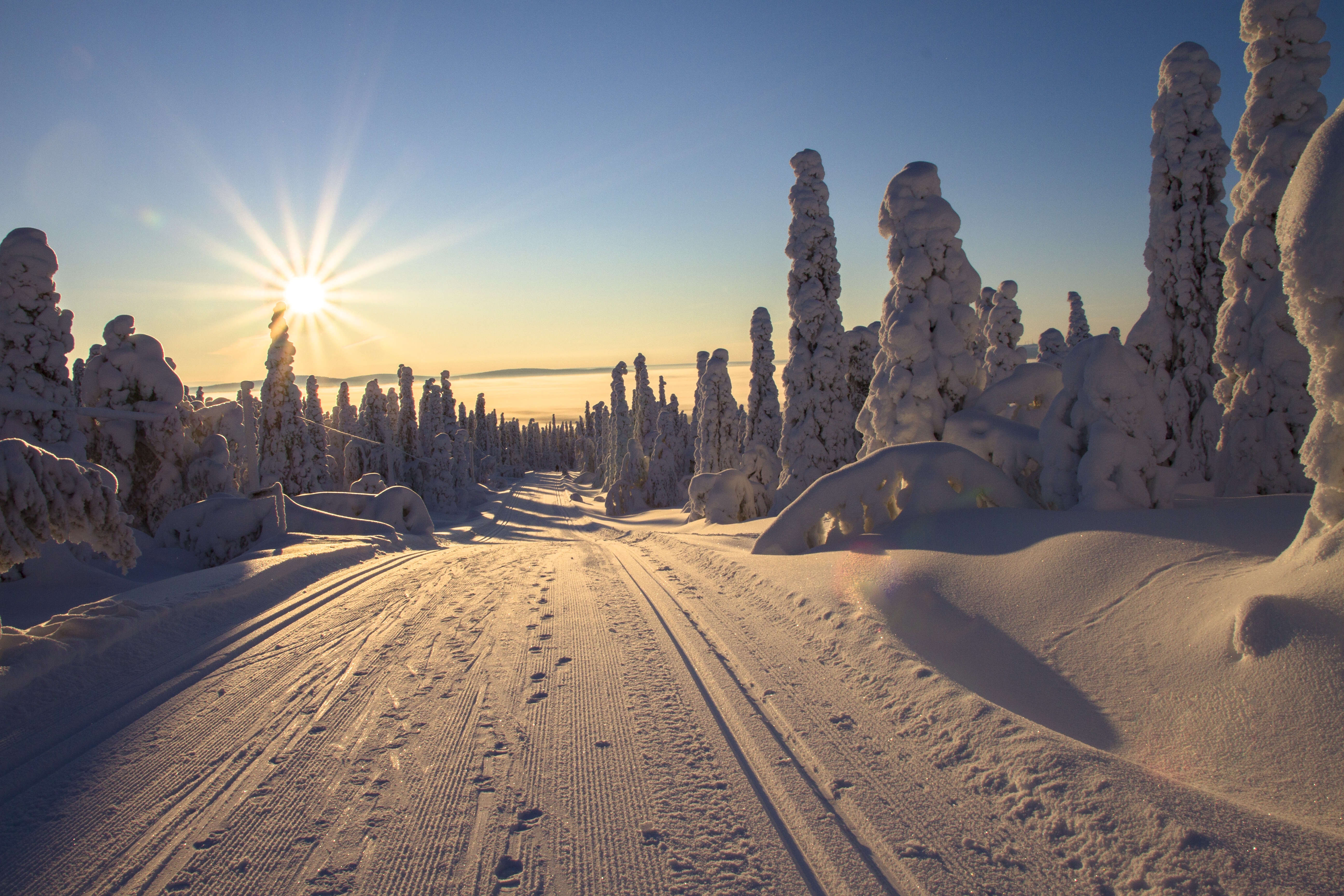 Finland Nature Path Snow Sun Sunbeam Winter 5184x3456