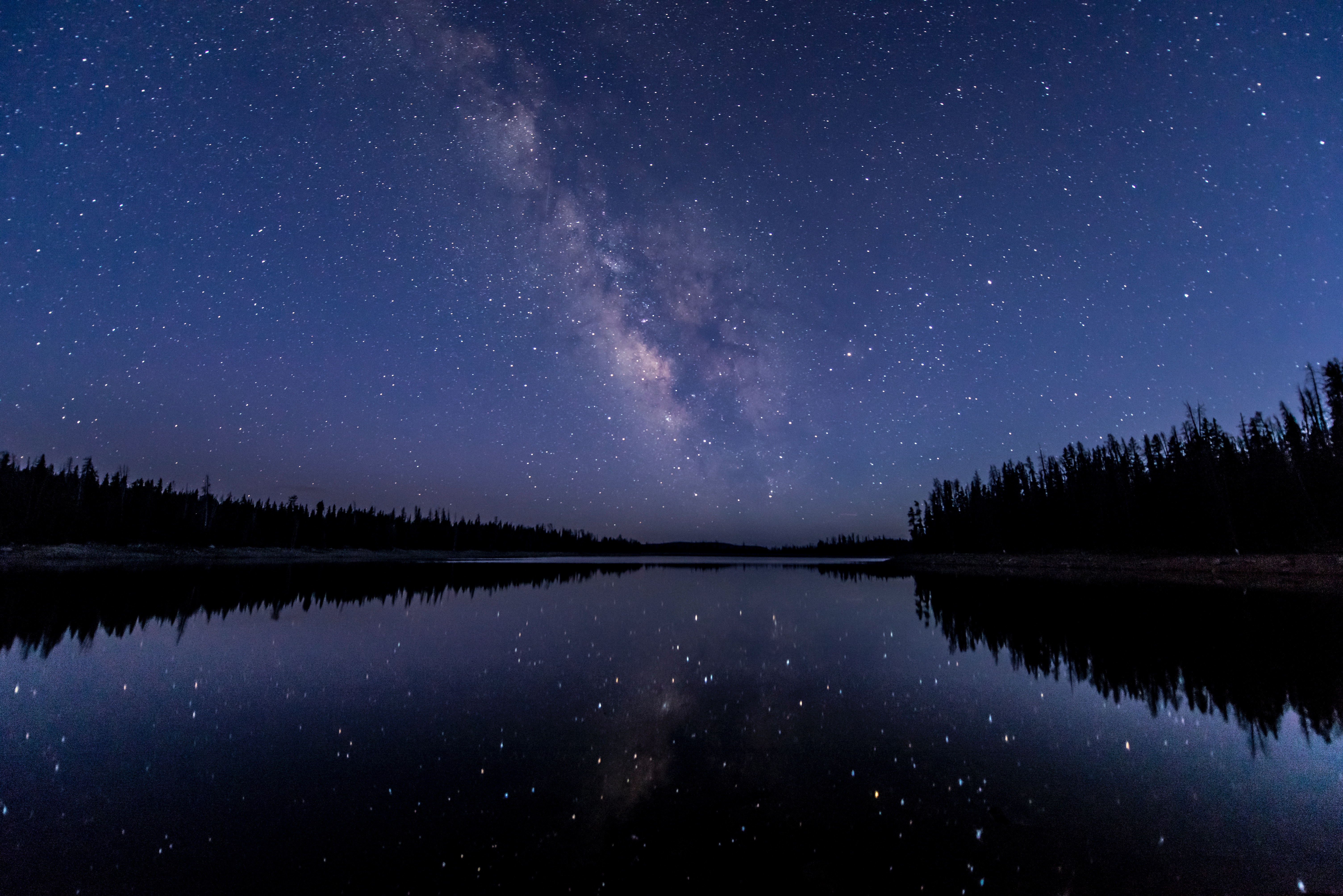 Forest Milky Way Night River Sky Stars 6016x4016
