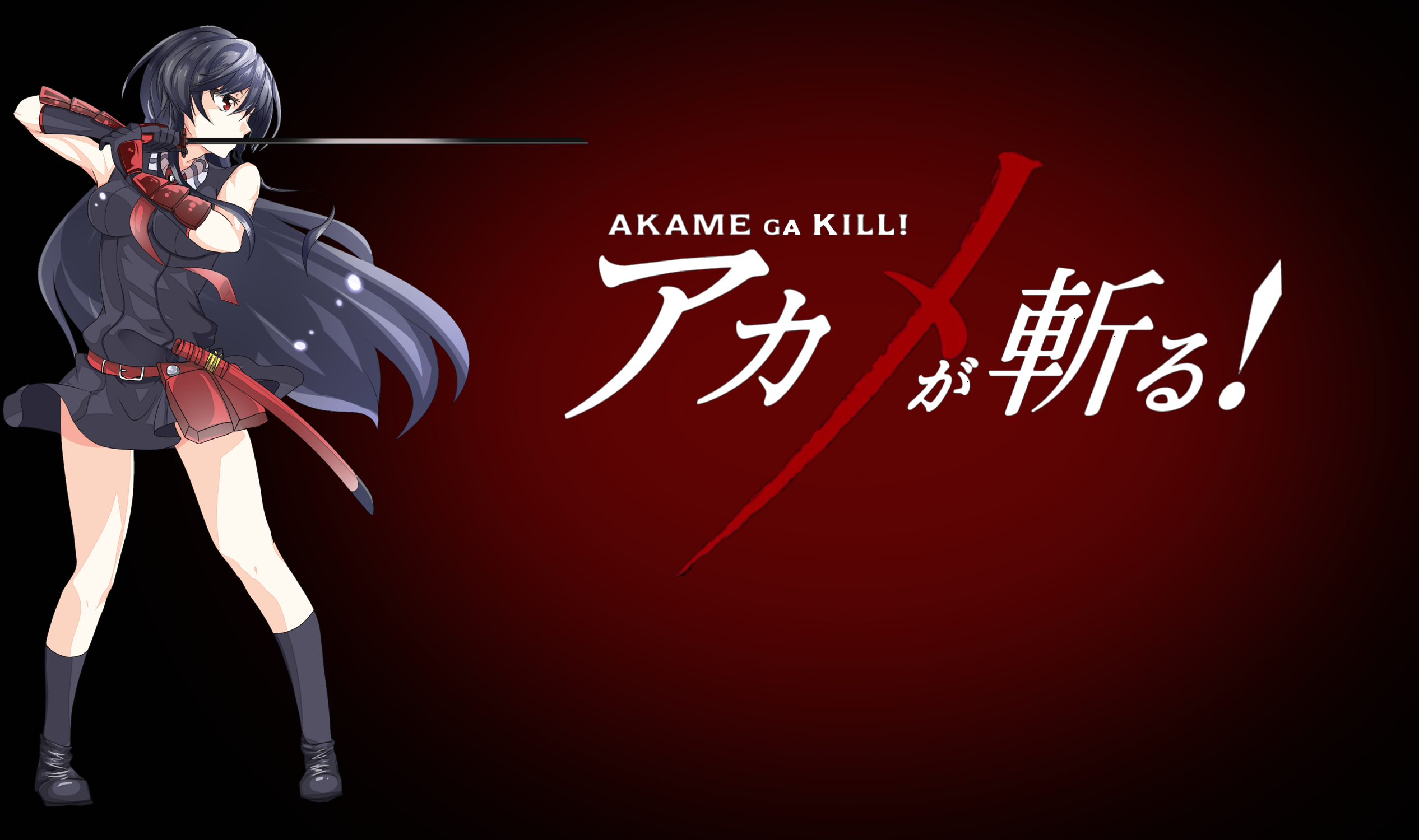 Akame Akame Ga Kill 2532x1500