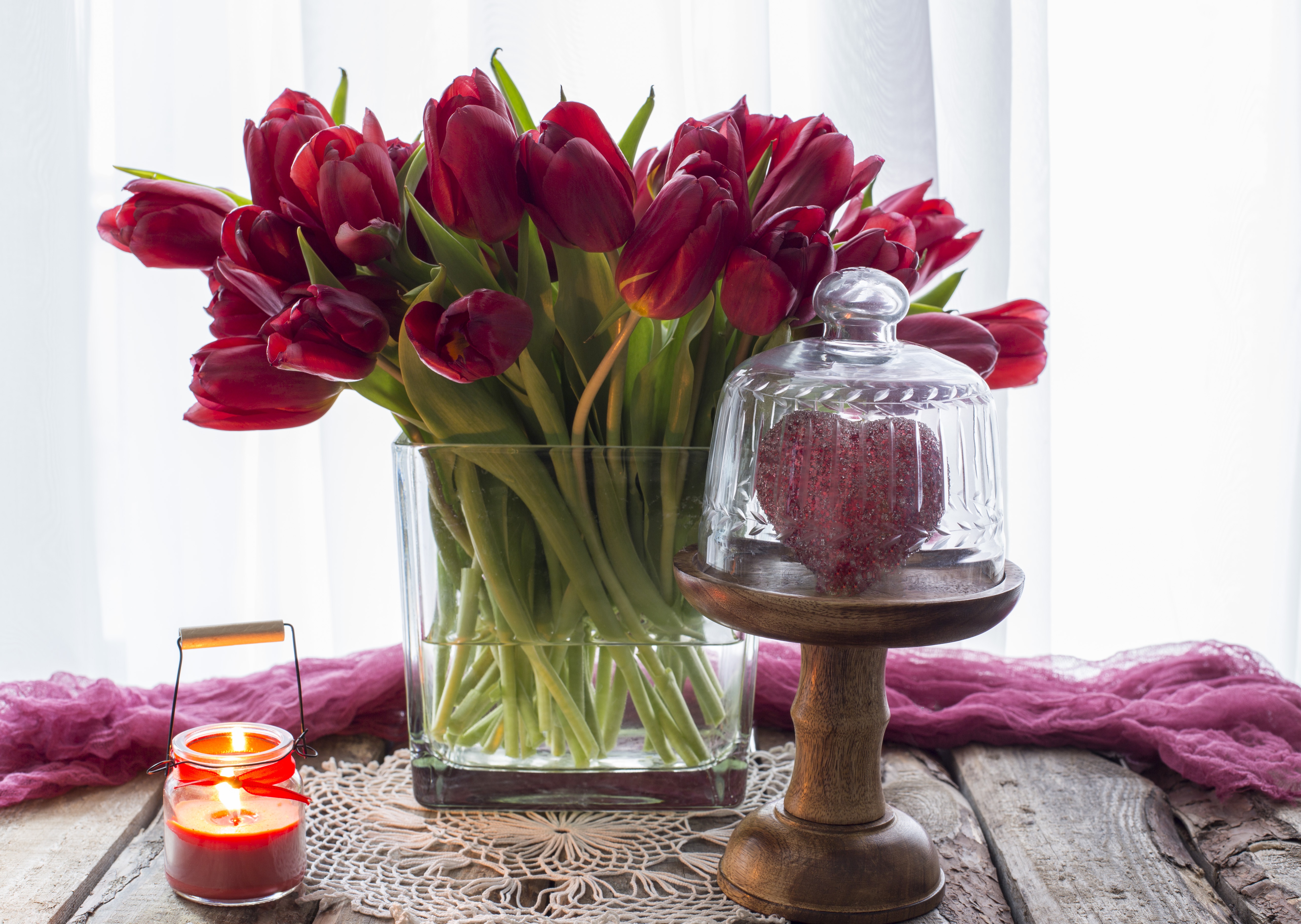 Candle Flower Red Flower Still Life Tulip 5135x3648