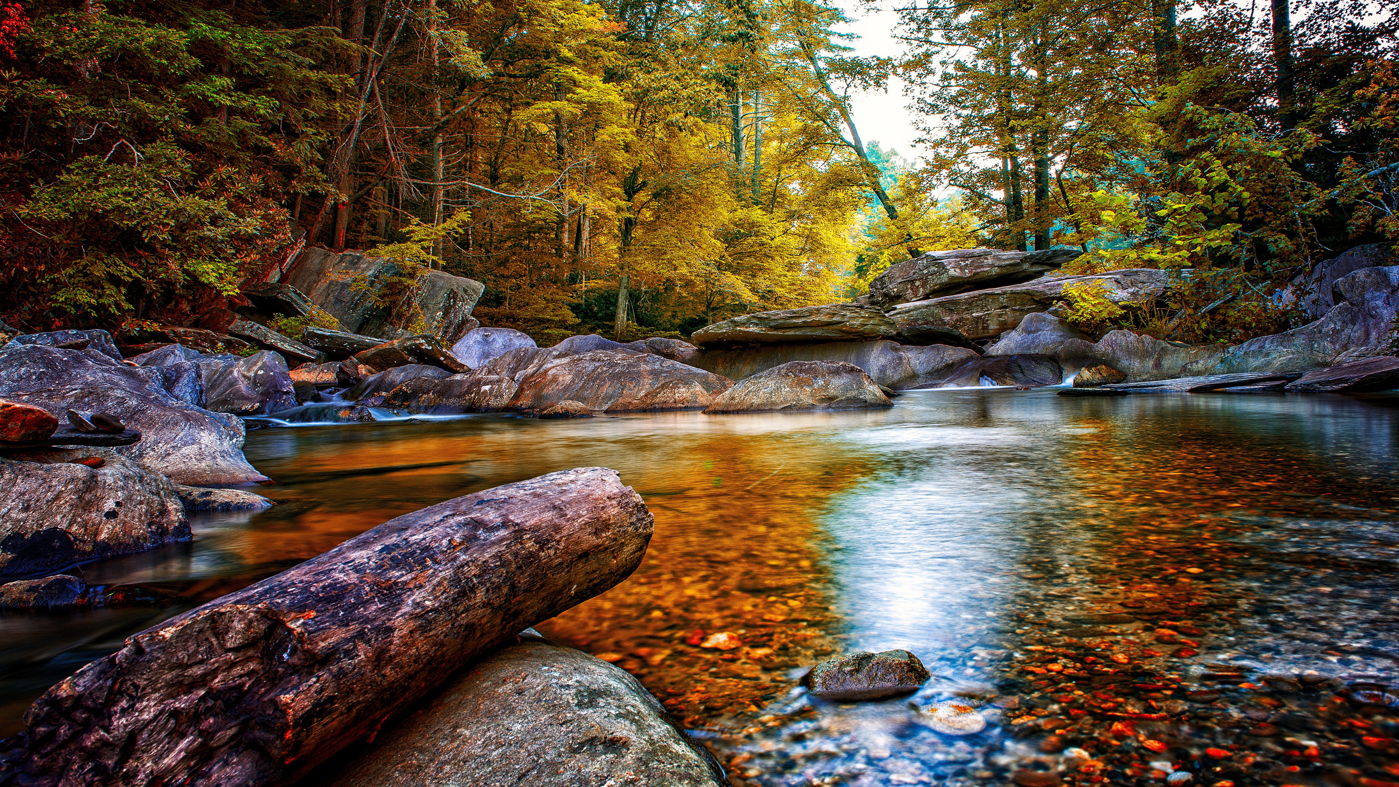 Fall Forest Nature Rock Stream 4595x2585