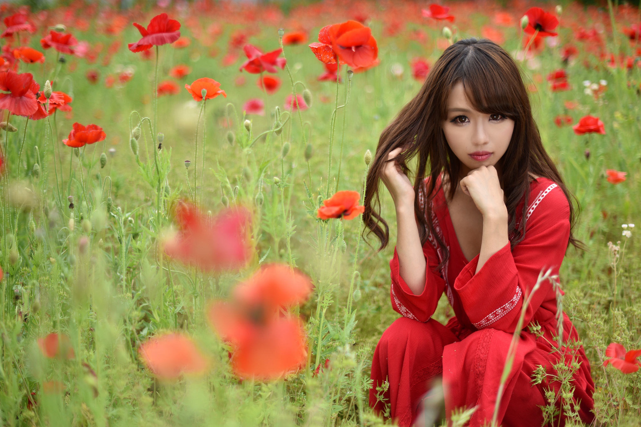 Asian Brown Eyes Brunette Flower Girl Model Poppy Red Flower Summer Woman 2048x1365