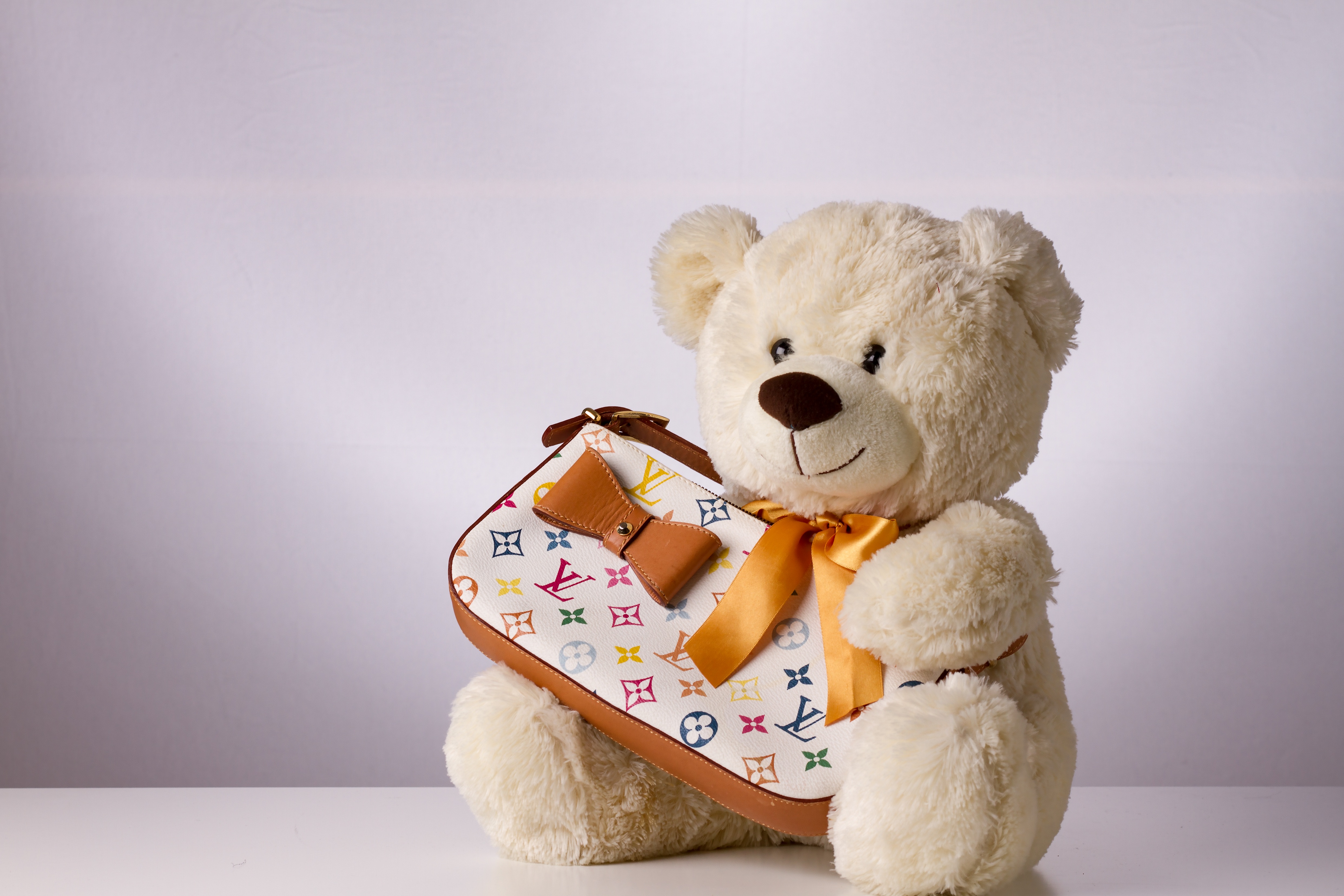 Bag Stuffed Animal Teddy Bear 4968x3312