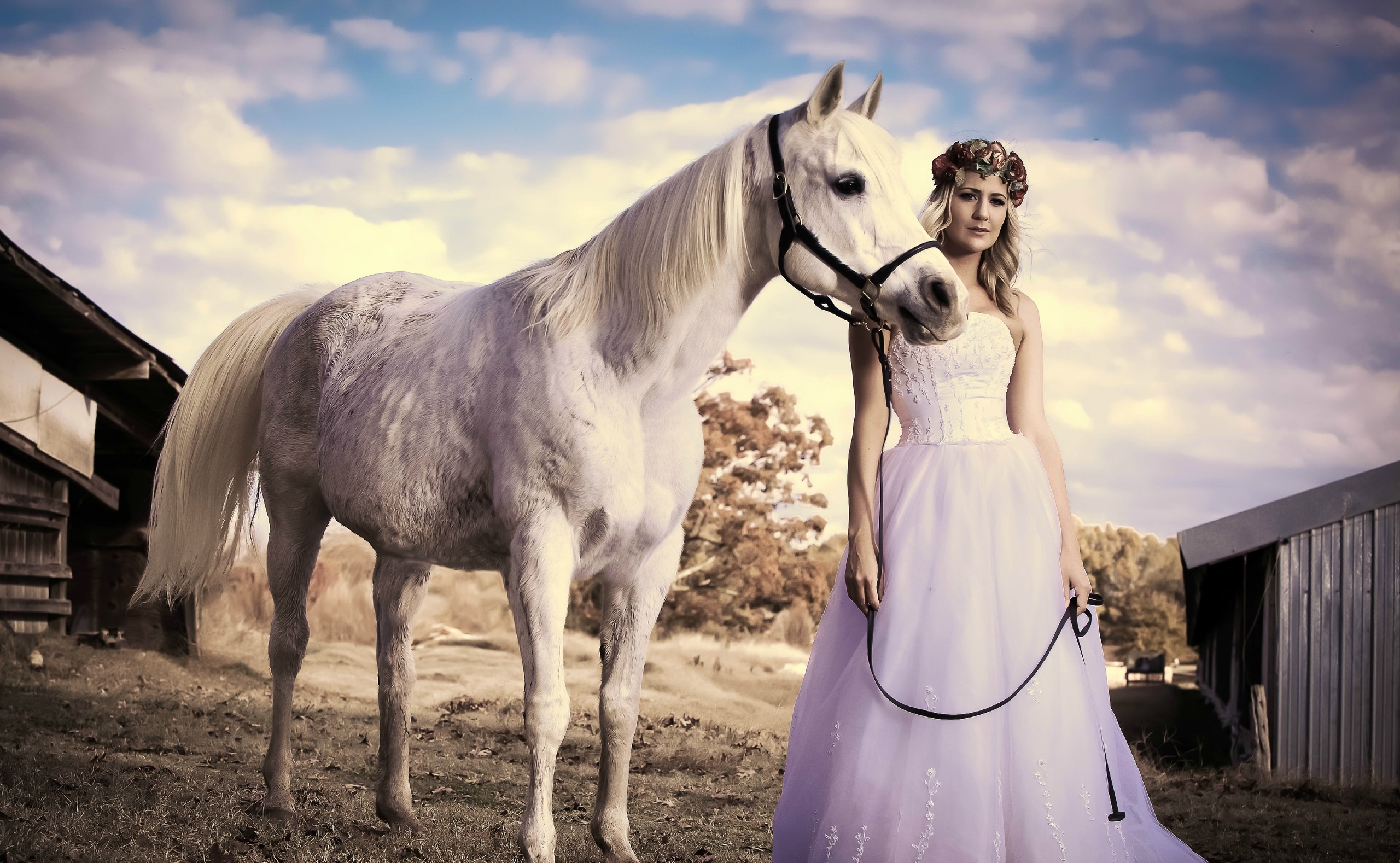 Blonde Bride Horse Wedding Dress White Dress Wreath 2560x1578