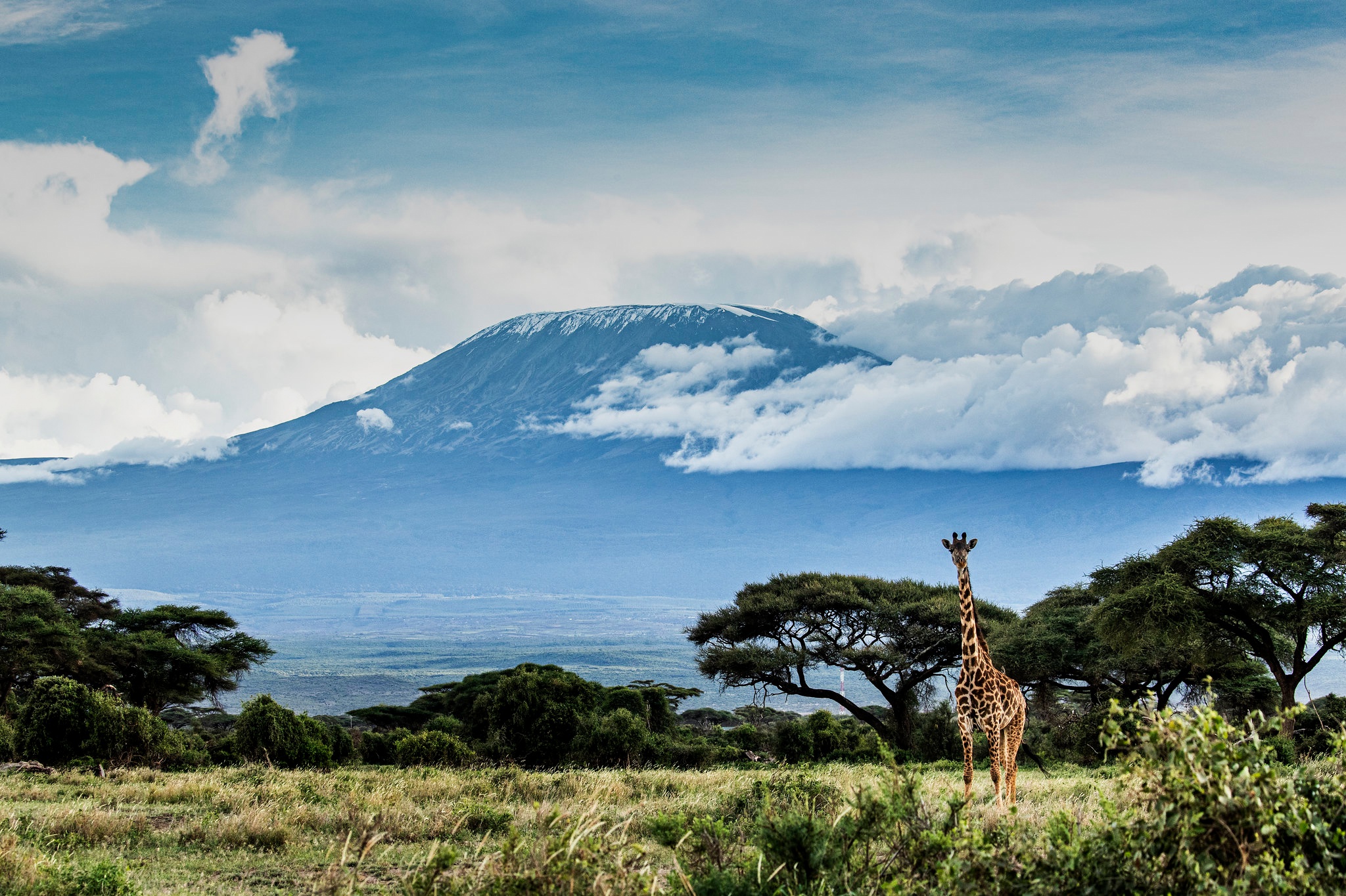 Africa Giraffe Volcano 2048x1365