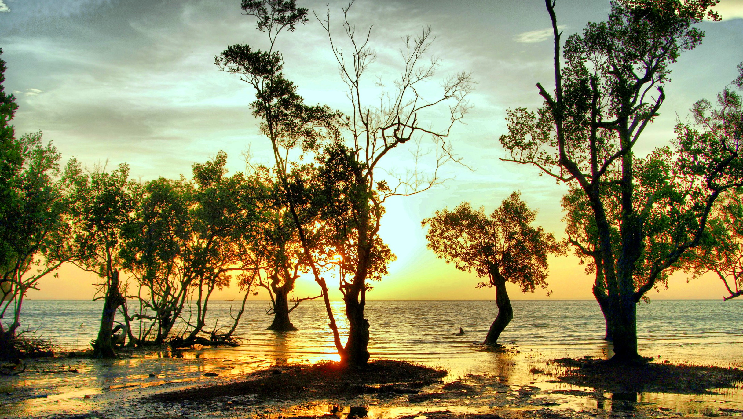 Thailand Sunset Beach Trees Retouching 2432x1372