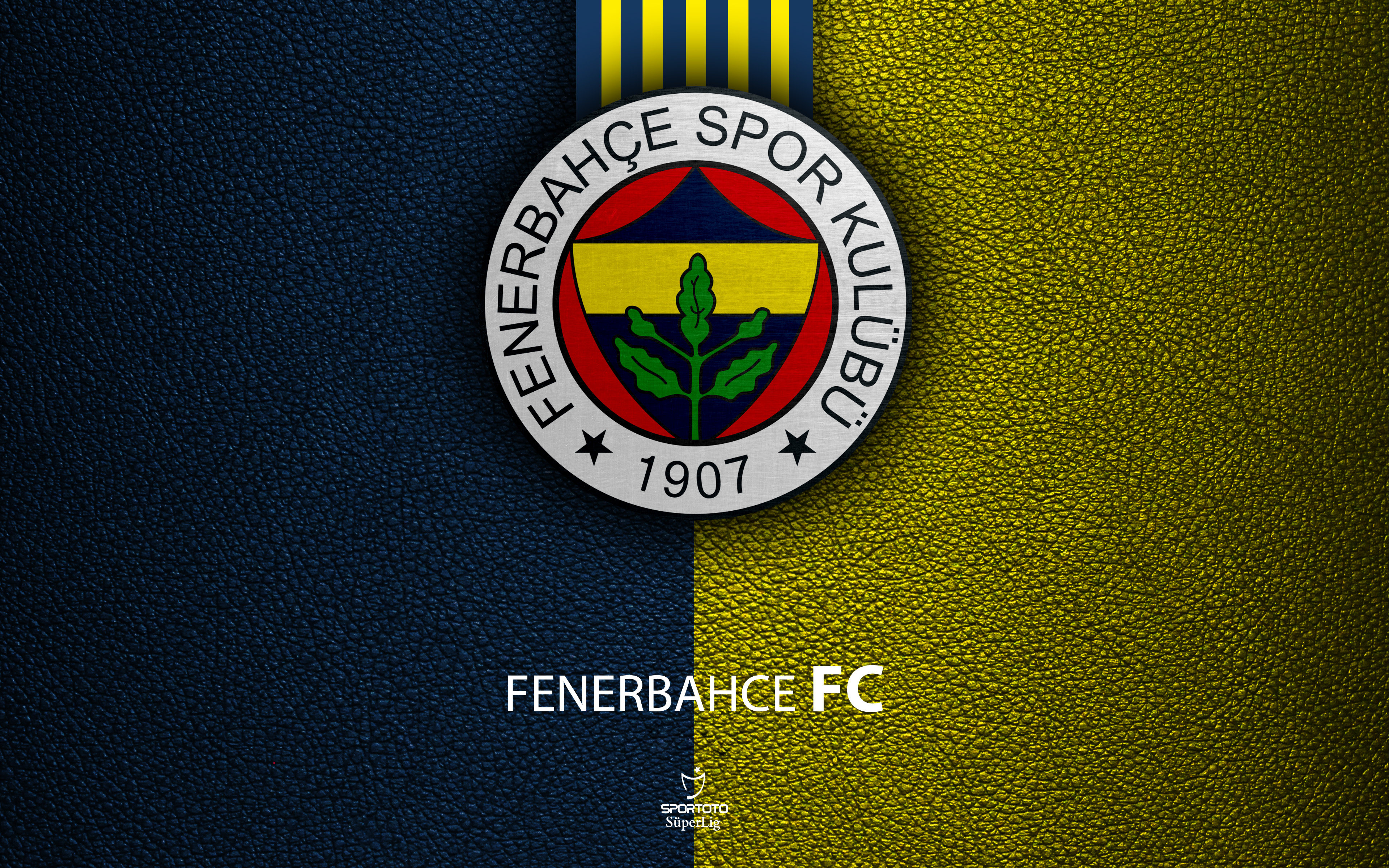 Emblem Fenerbahce S K Logo Soccer 3840x2400