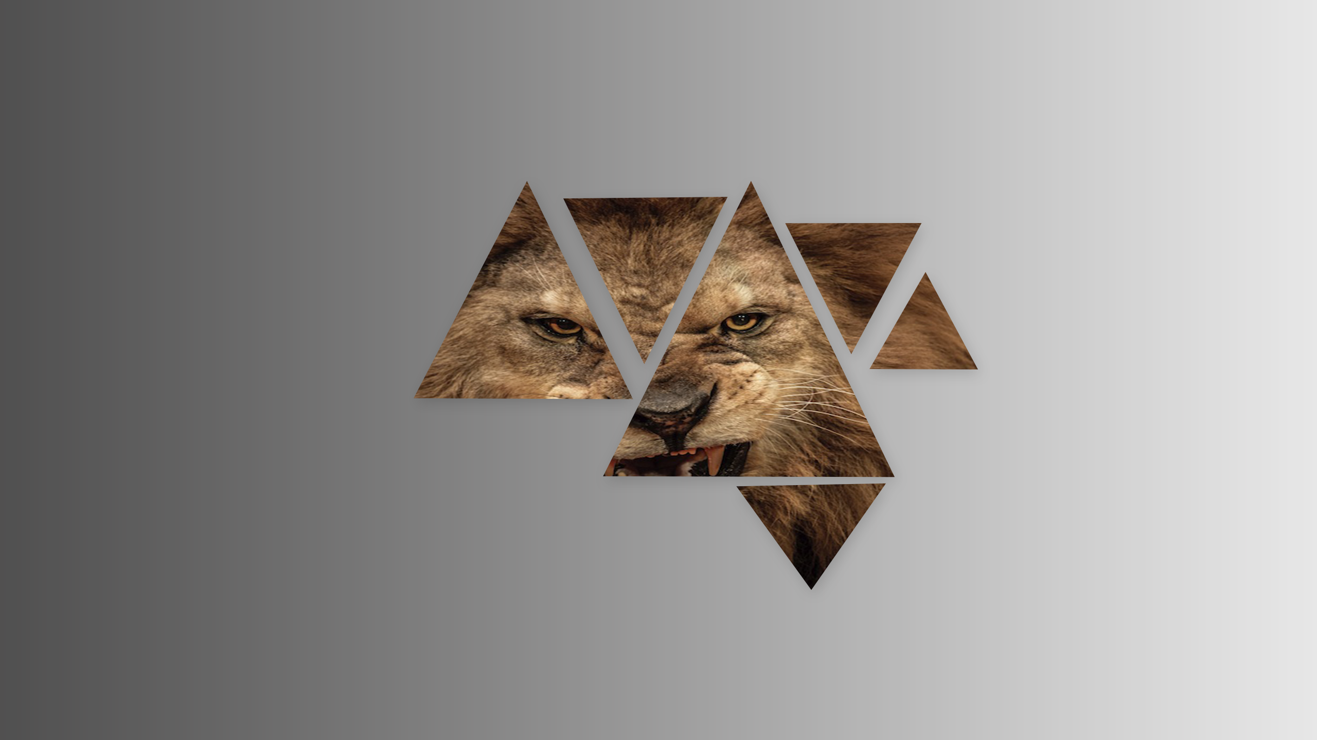 Abstract Lion Triangle 2560x1440