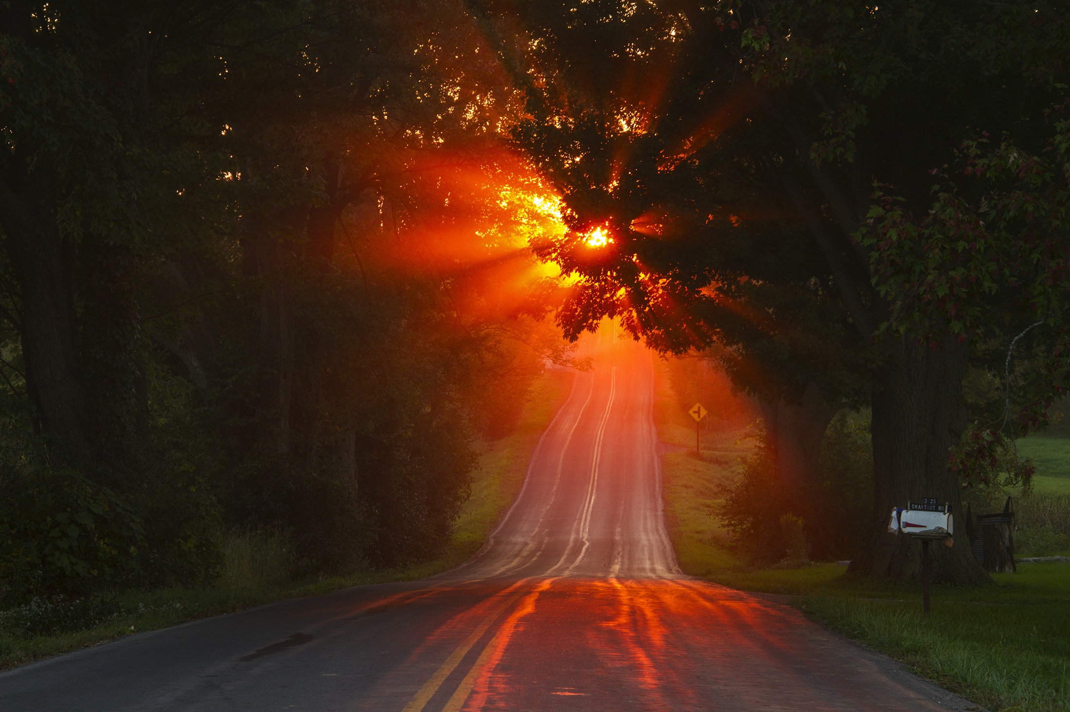 Road Sunbeam Sunset Tree 2200x1465