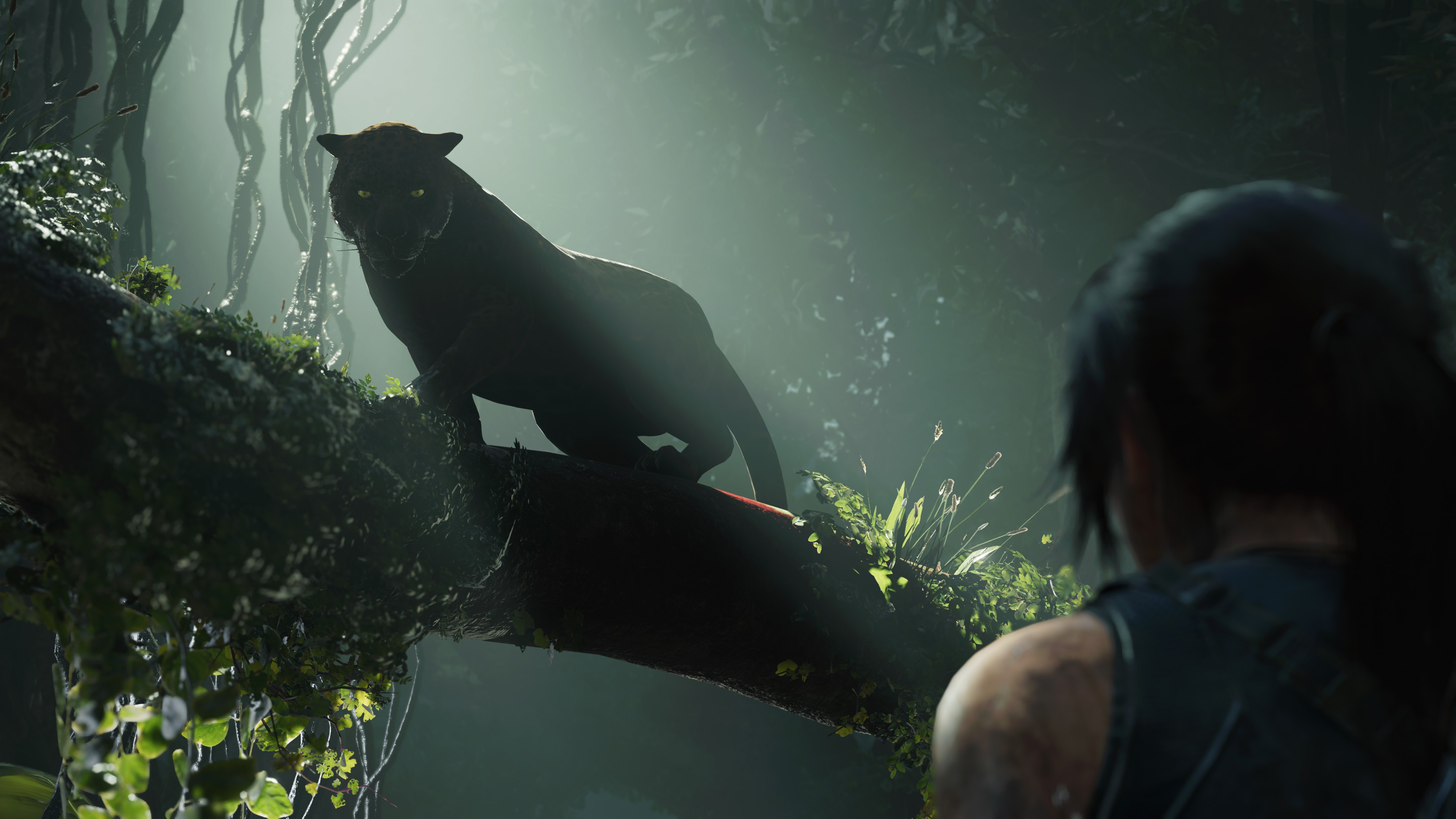Shadow Of The Tomb Raider Lara Croft Wild Cat 3840x2160