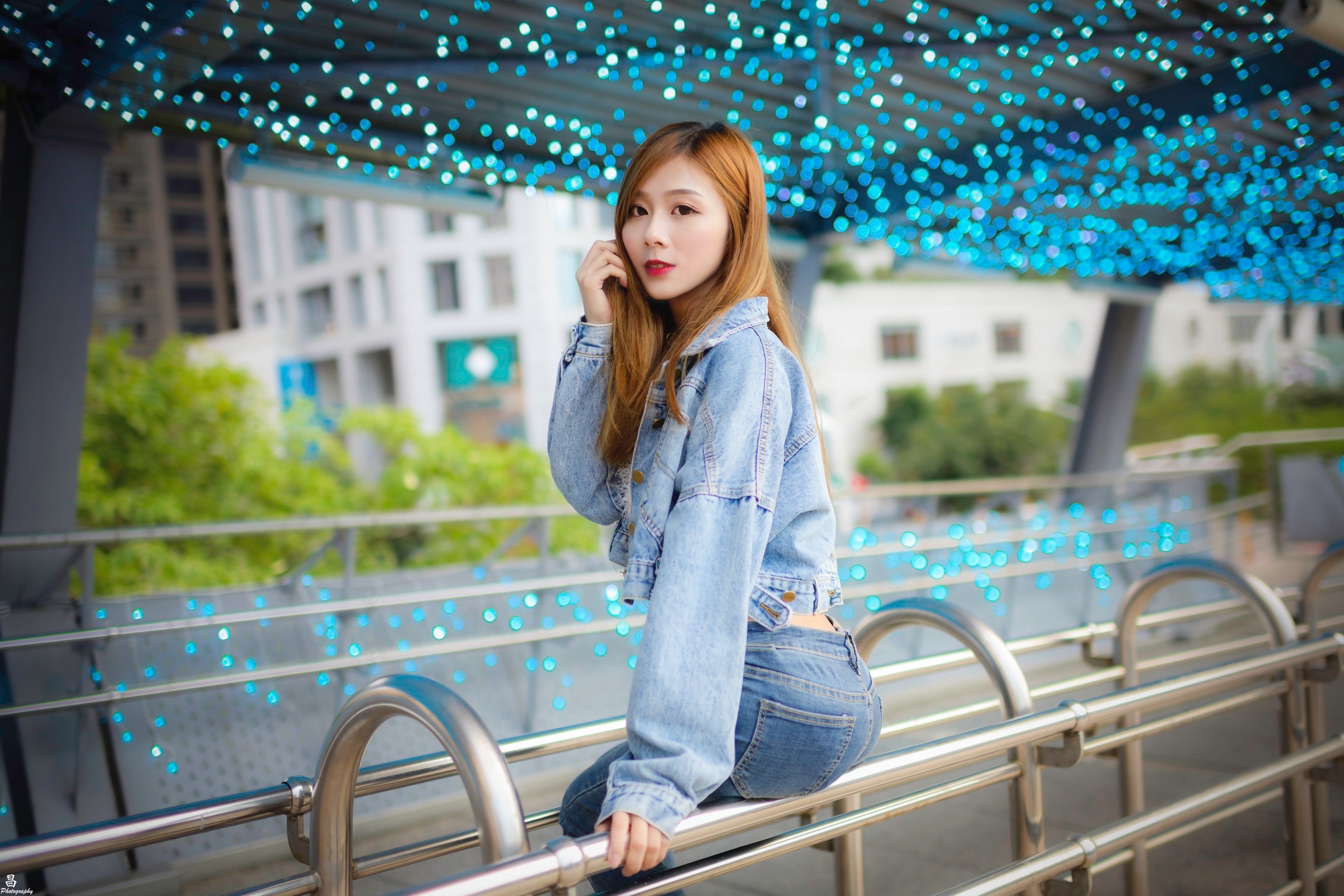 Asian Model Women Long Hair Brunette Jeans Jacket Jeans Sitting Railings Bushes LEDs Depth Of Field  2304x1536