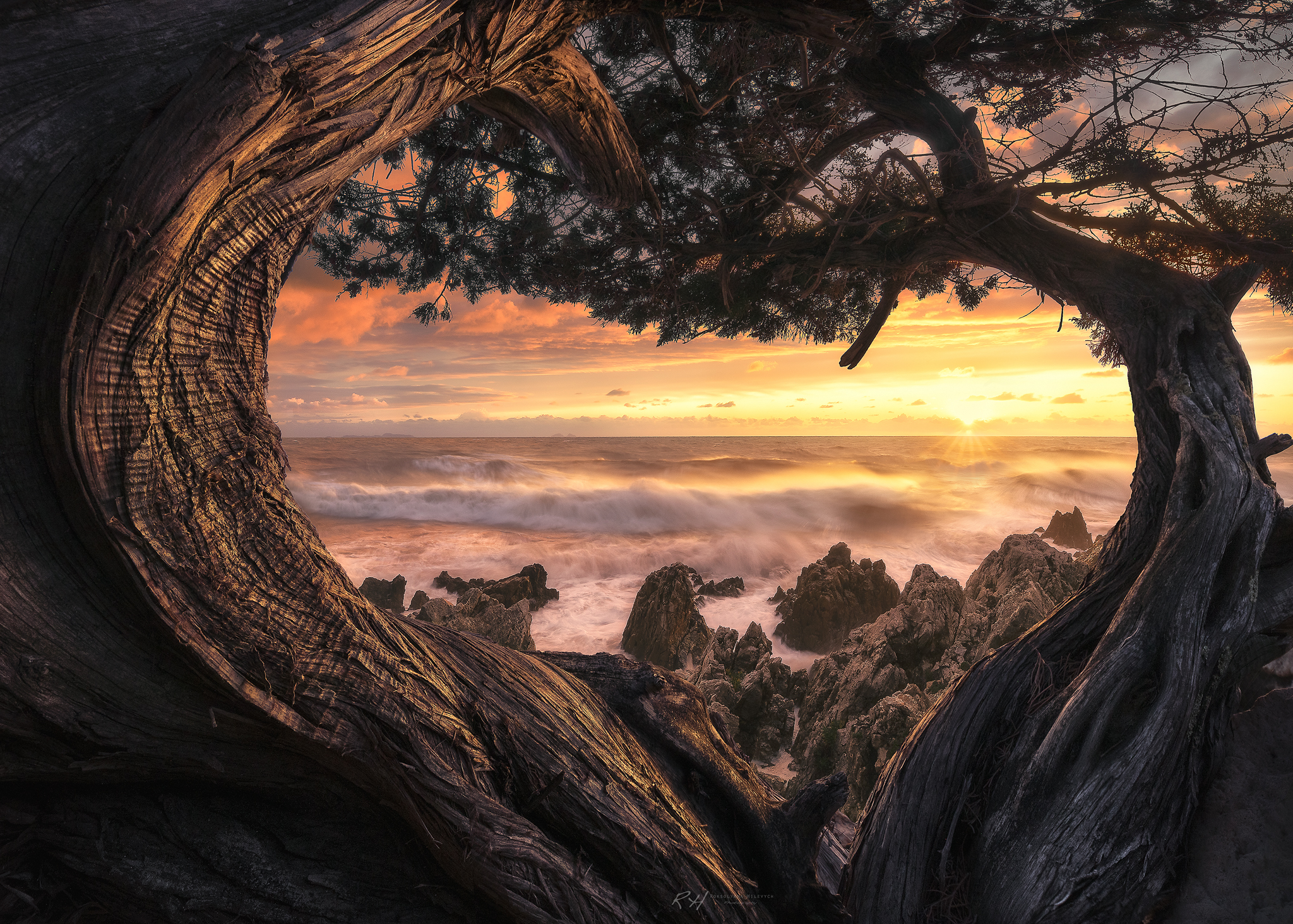 Trees Sea Water Waves Sunset Rocks Waterscape Bark Leaves Warm Warm Light Roksolyana Hilevych Sun Su 2048x1464